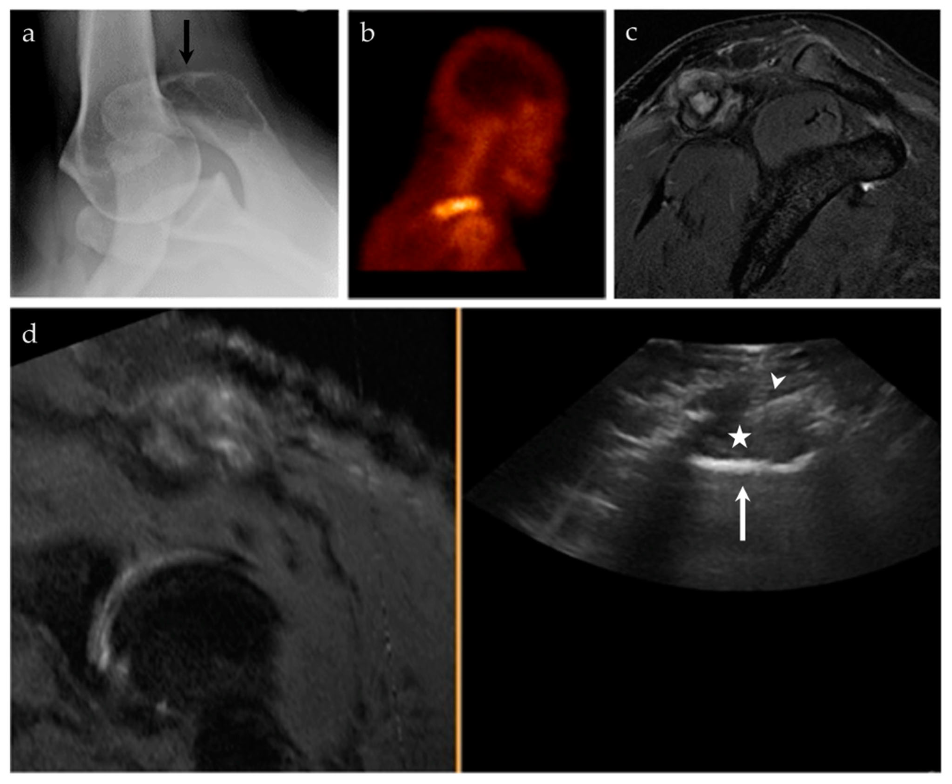 Life 13 01278 g006 Life 13 01278 g006