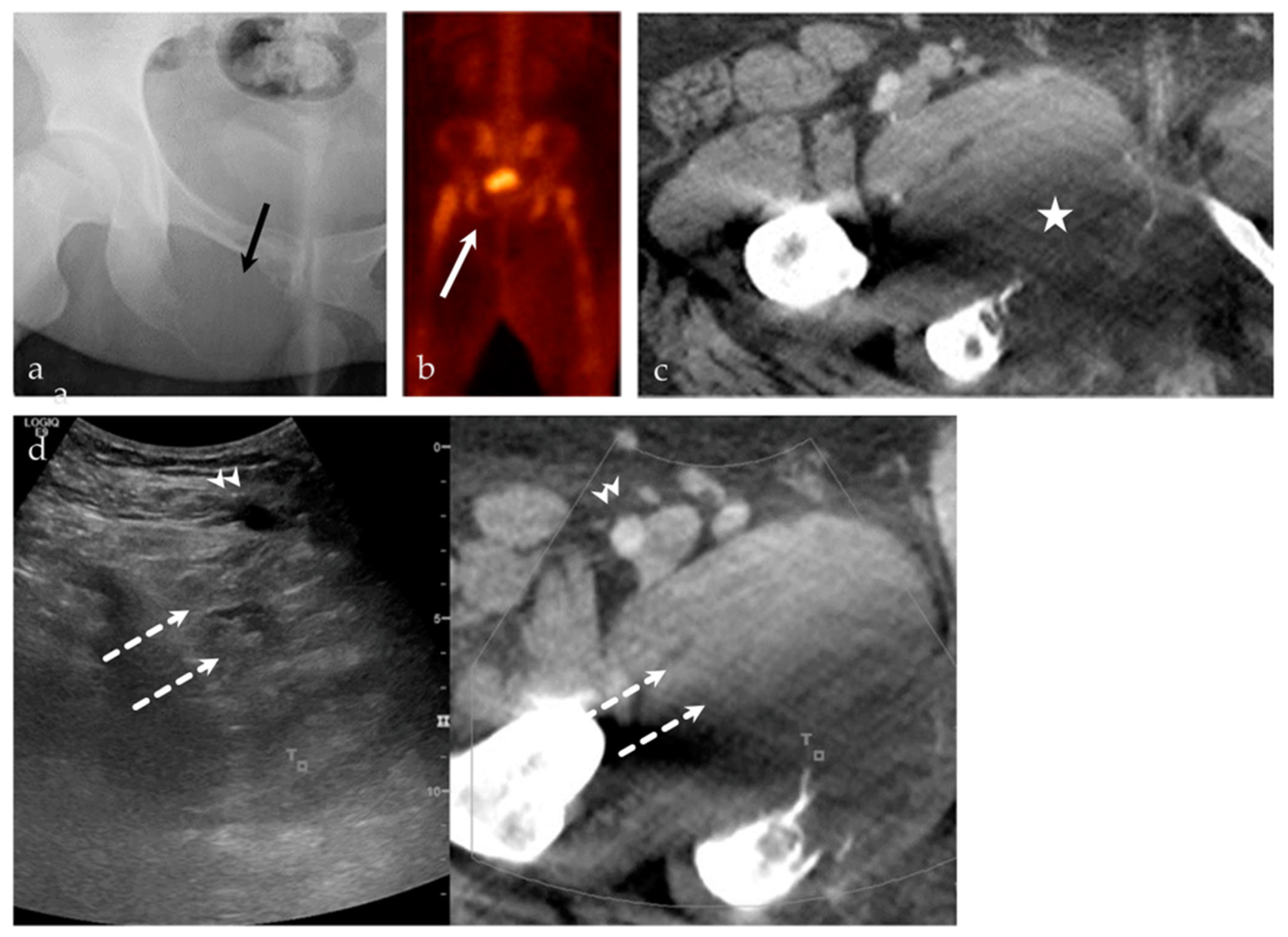 Life 13 01278 g007 Life 13 01278 g007