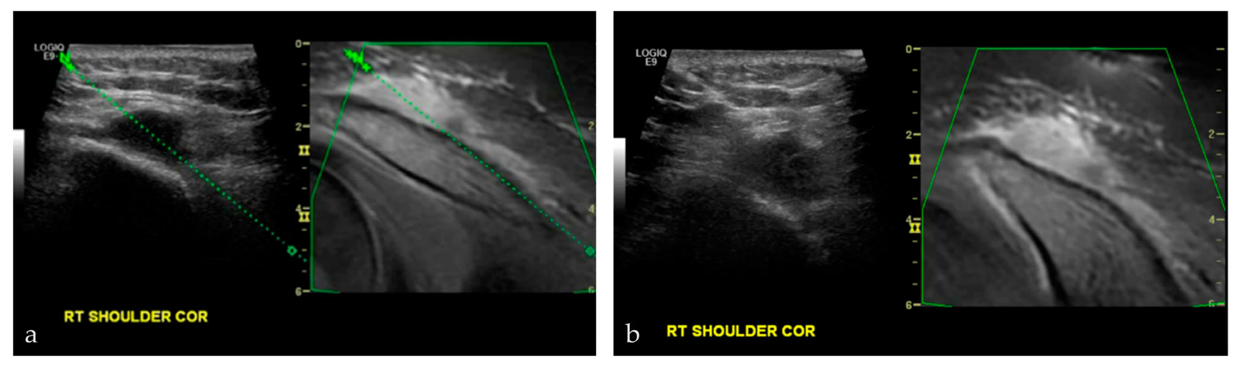 Life 13 01278 g008 Life 13 01278 g008