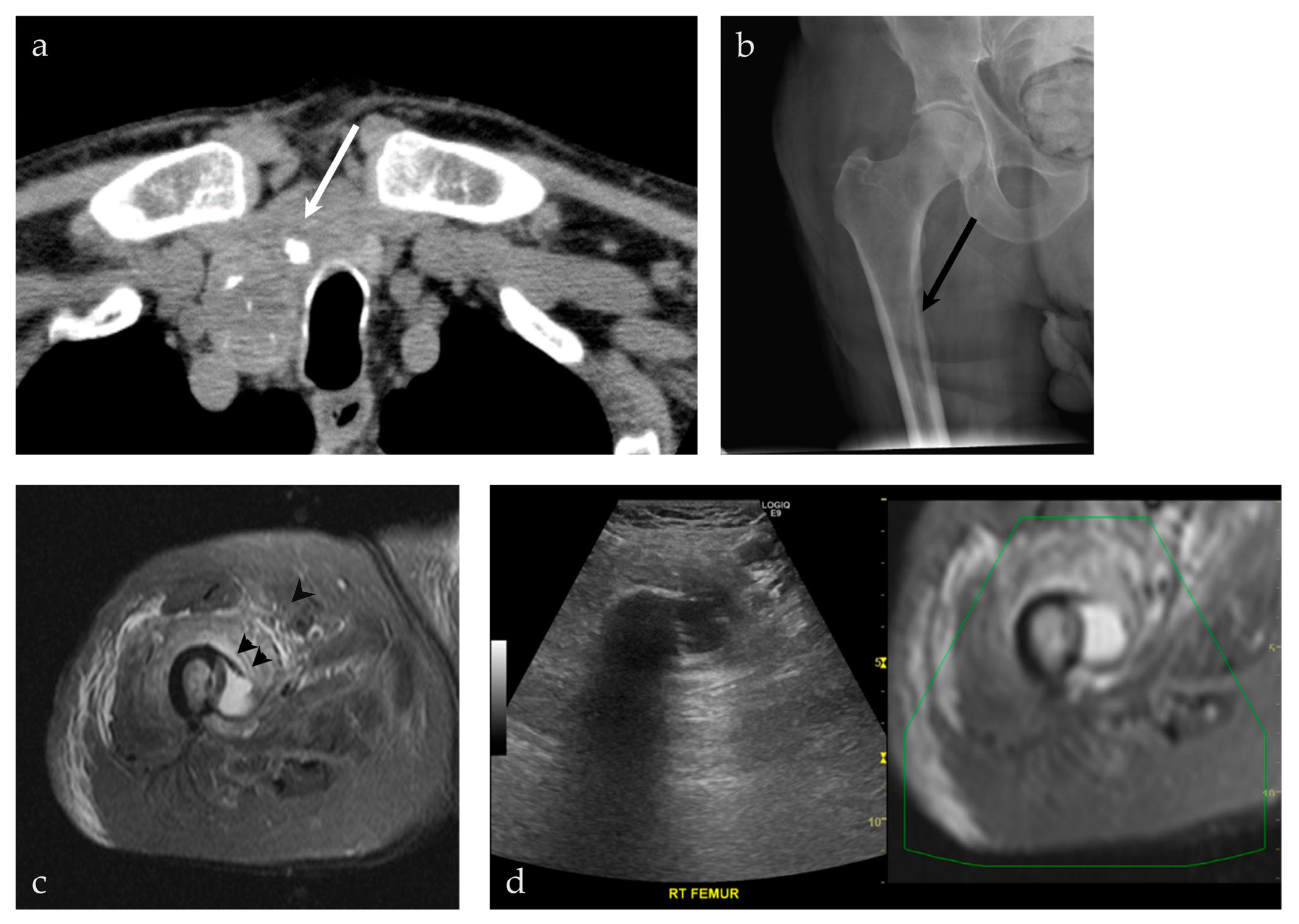 Life 13 01278 g009 Life 13 01278 g009