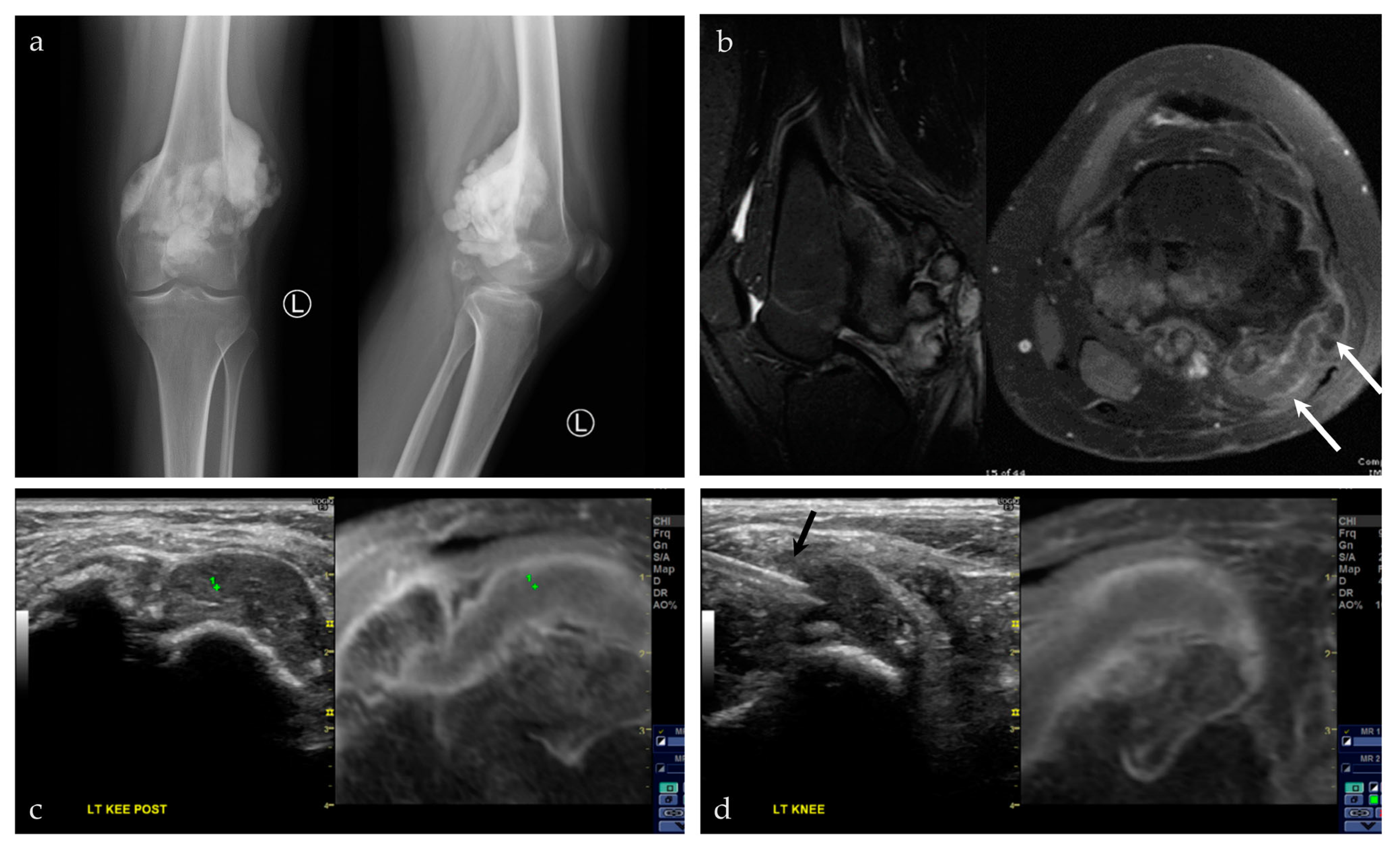 Life 13 01278 g010 Life 13 01278 g010