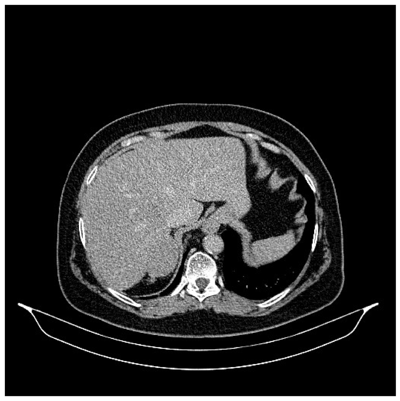 Life 13 01279 g006 Life 13 01279 g006