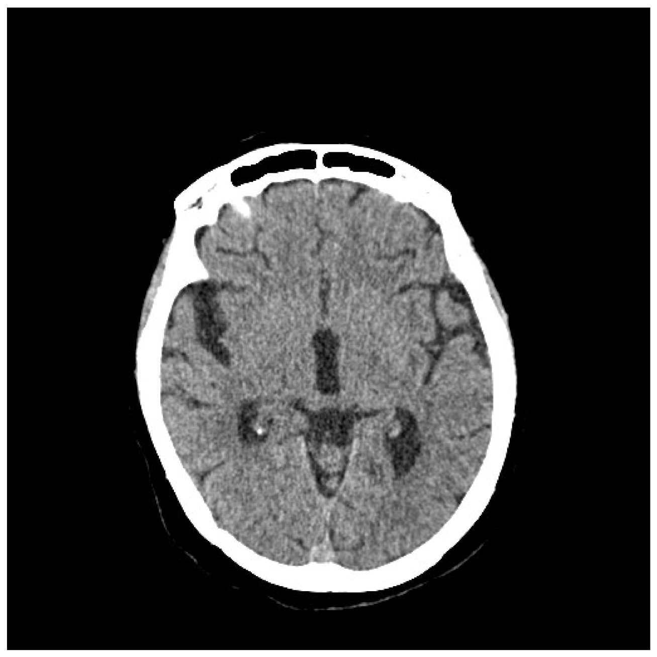 Life 13 01279 g008 Life 13 01279 g008