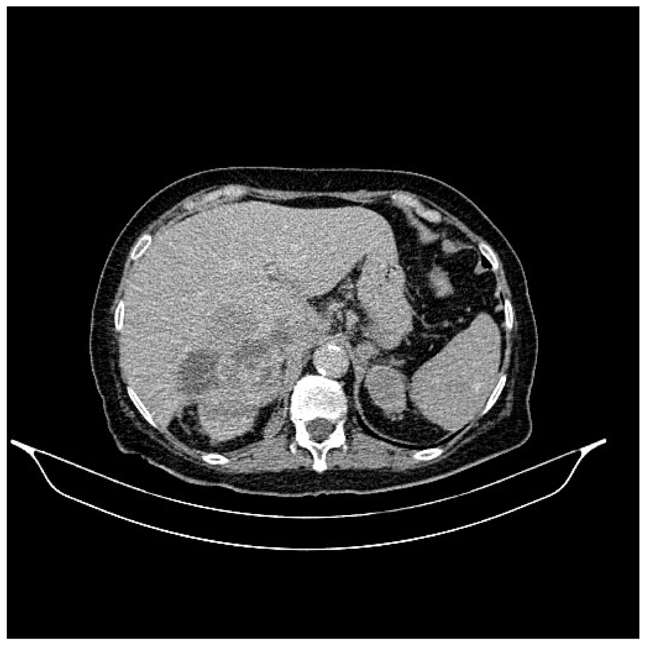 Life 13 01279 g010 Life 13 01279 g010