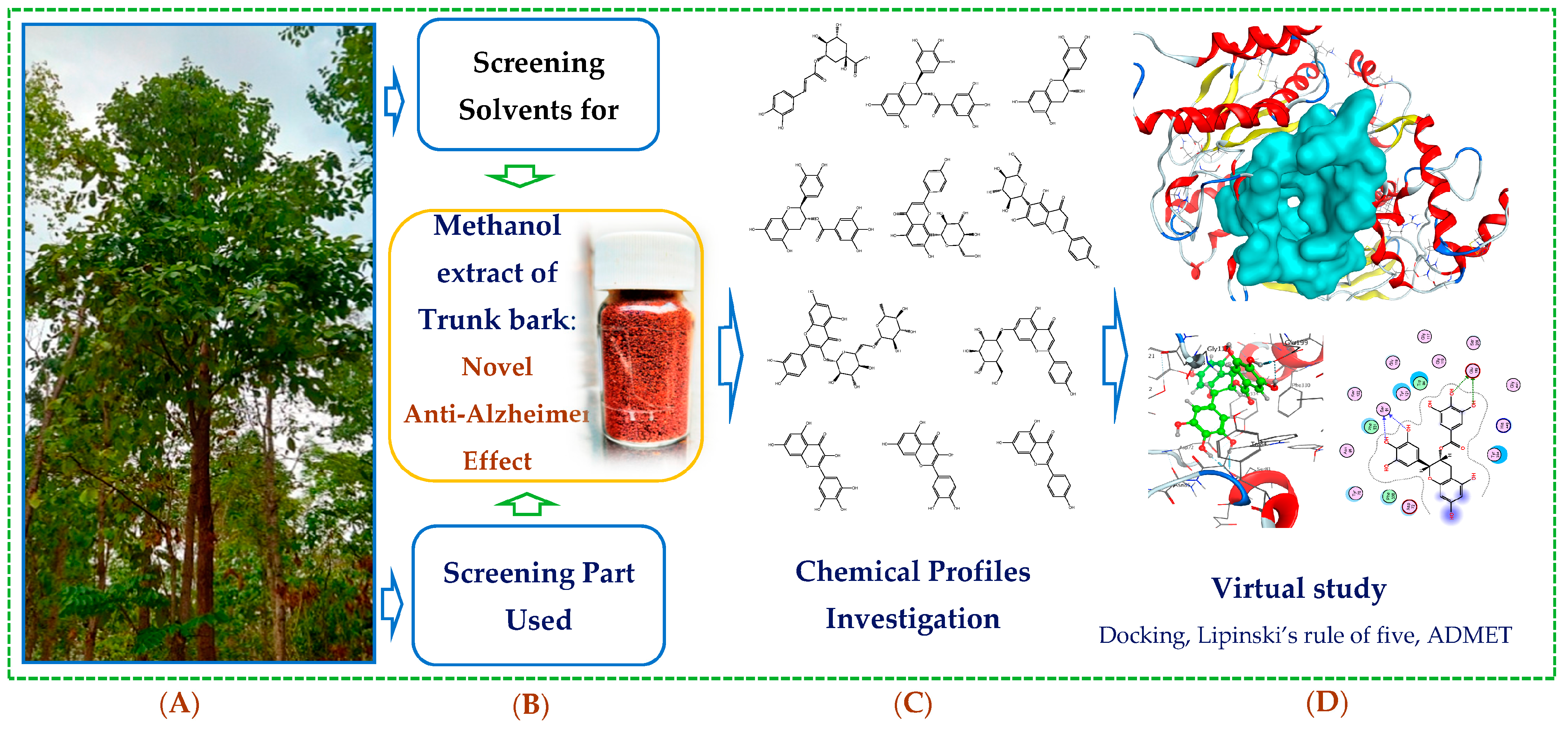 Life 13 01281 sch001