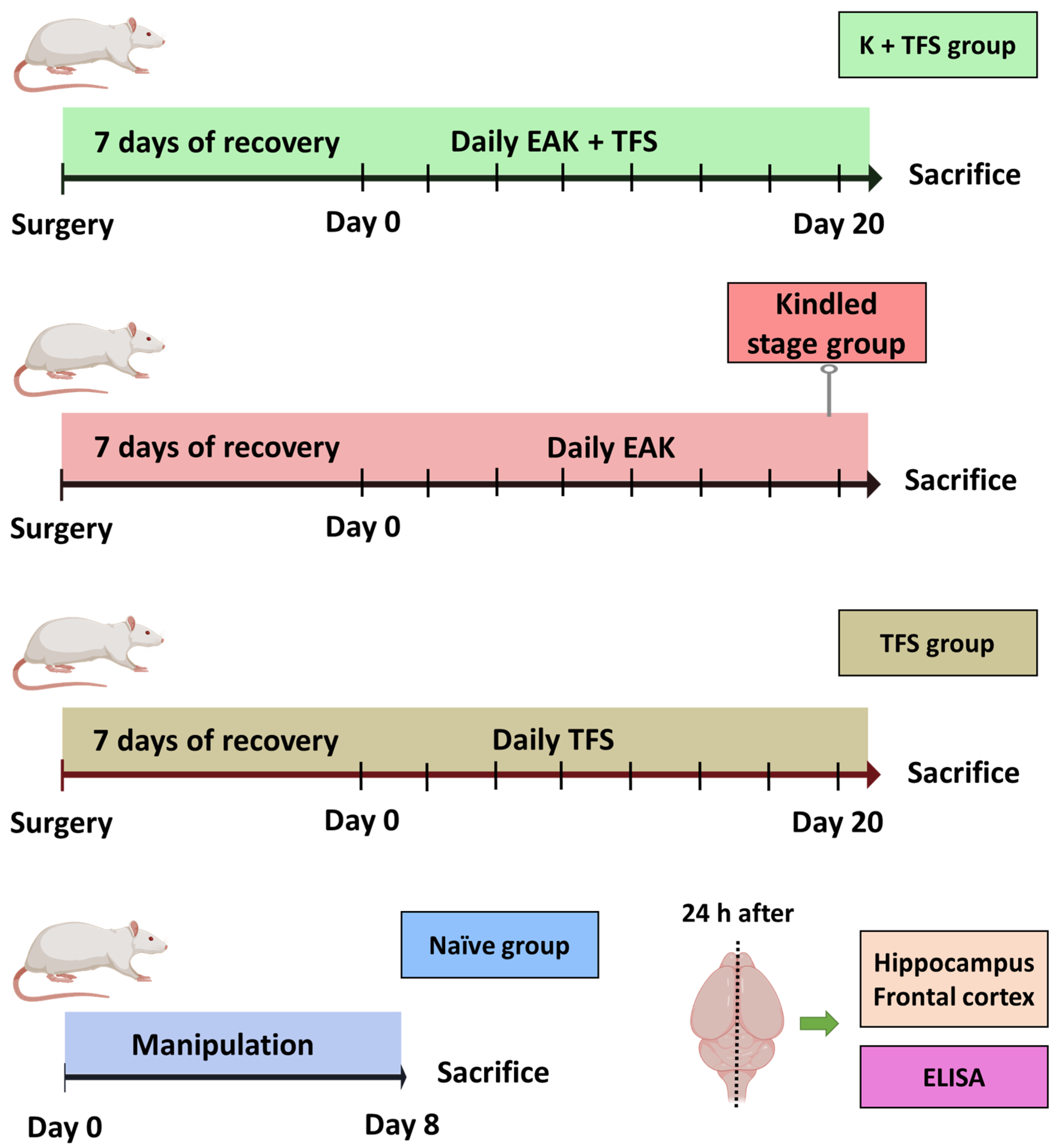 Life 13 01294 g002 Life 13 01294 g002