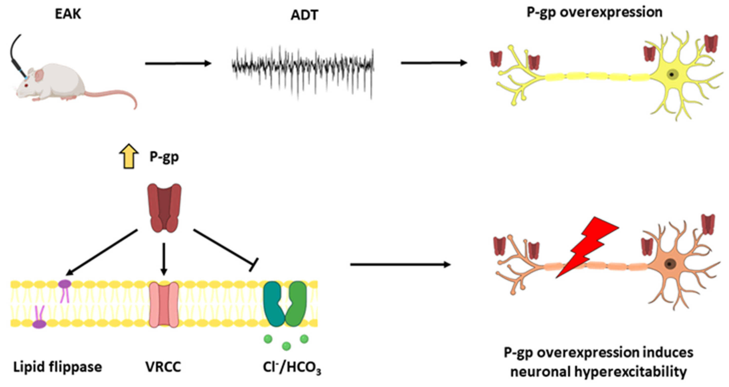 Life 13 01294 g006 Life 13 01294 g006