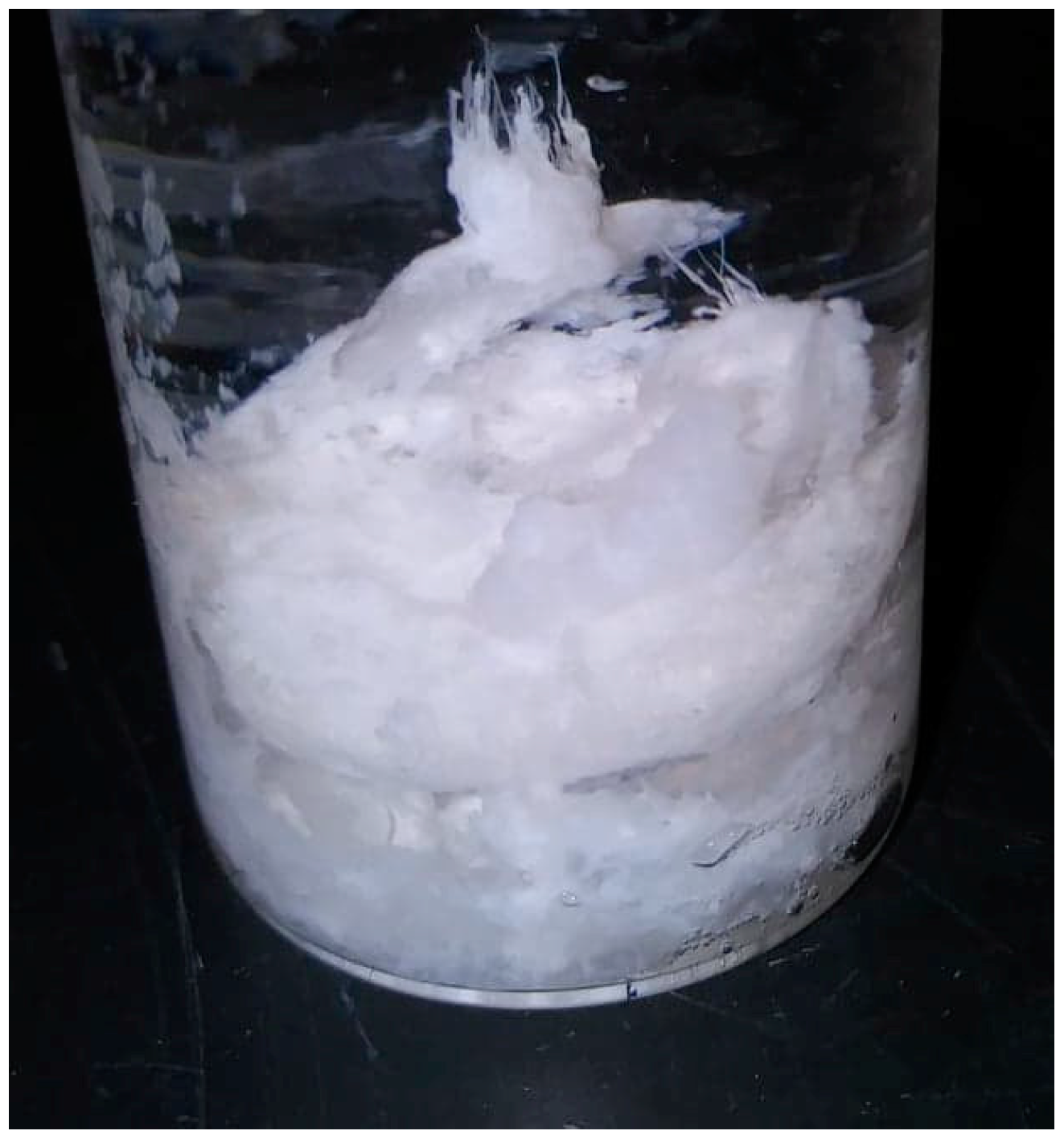 Life 13 01297 g001 Life 13 01297 g001