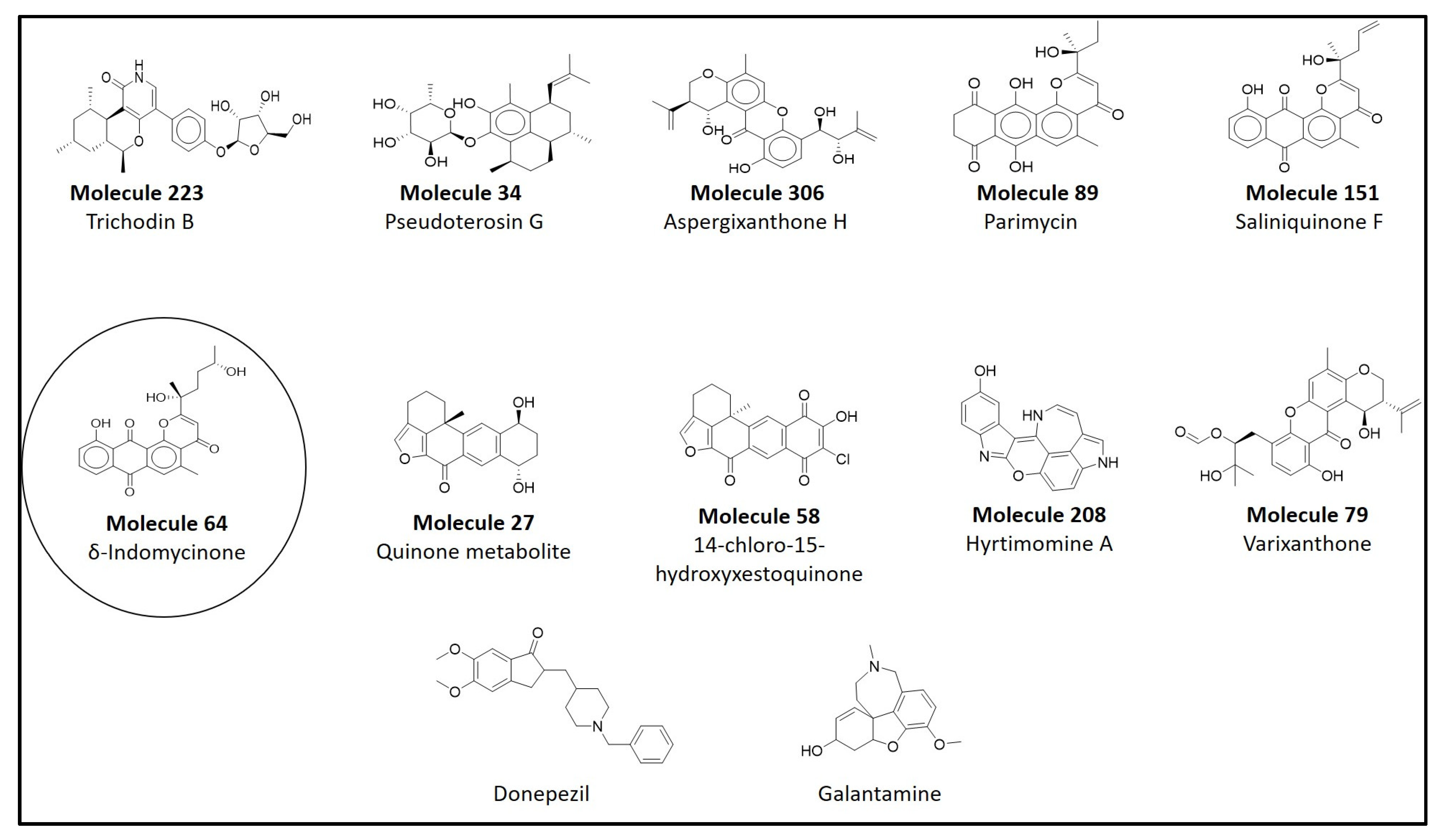 Life 13 01298 g003 Life 13 01298 g003