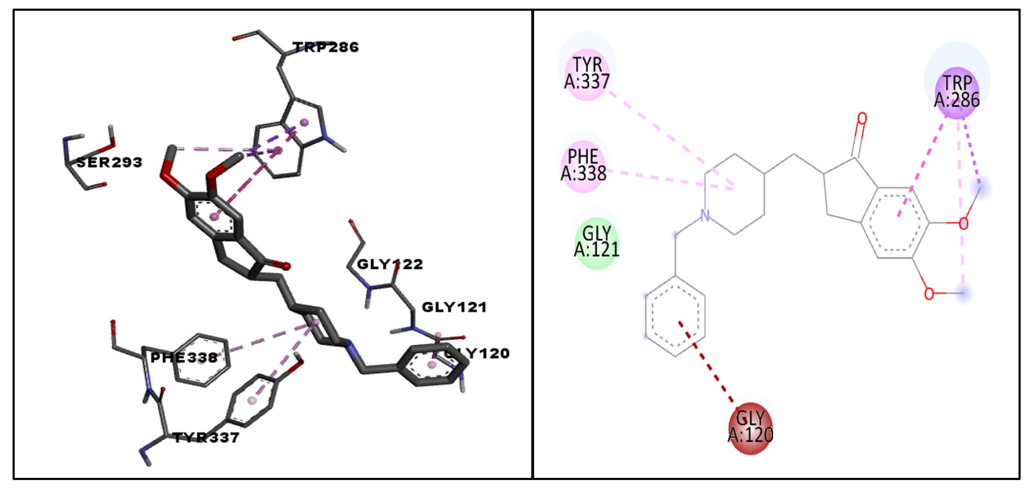 Life 13 01298 g005 Life 13 01298 g005