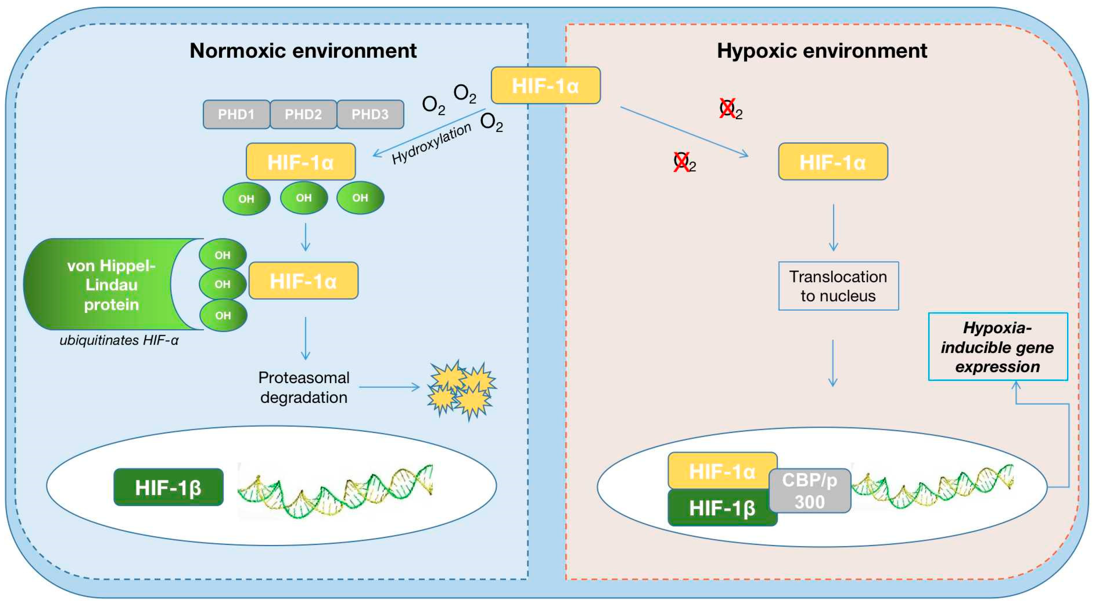 Life 13 01311 g002 Life 13 01311 g002