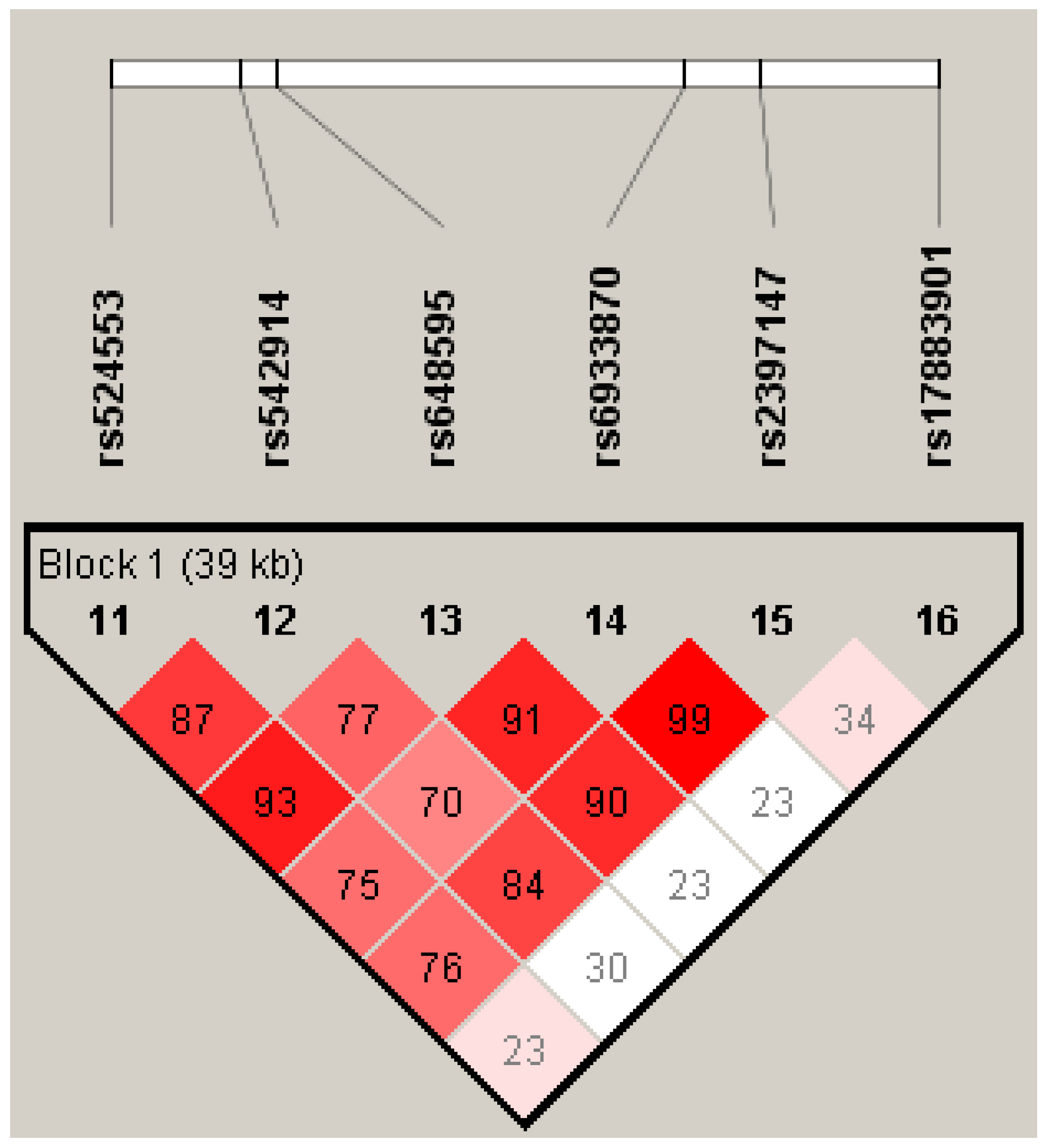 Life 13 01316 g001 Life 13 01316 g001