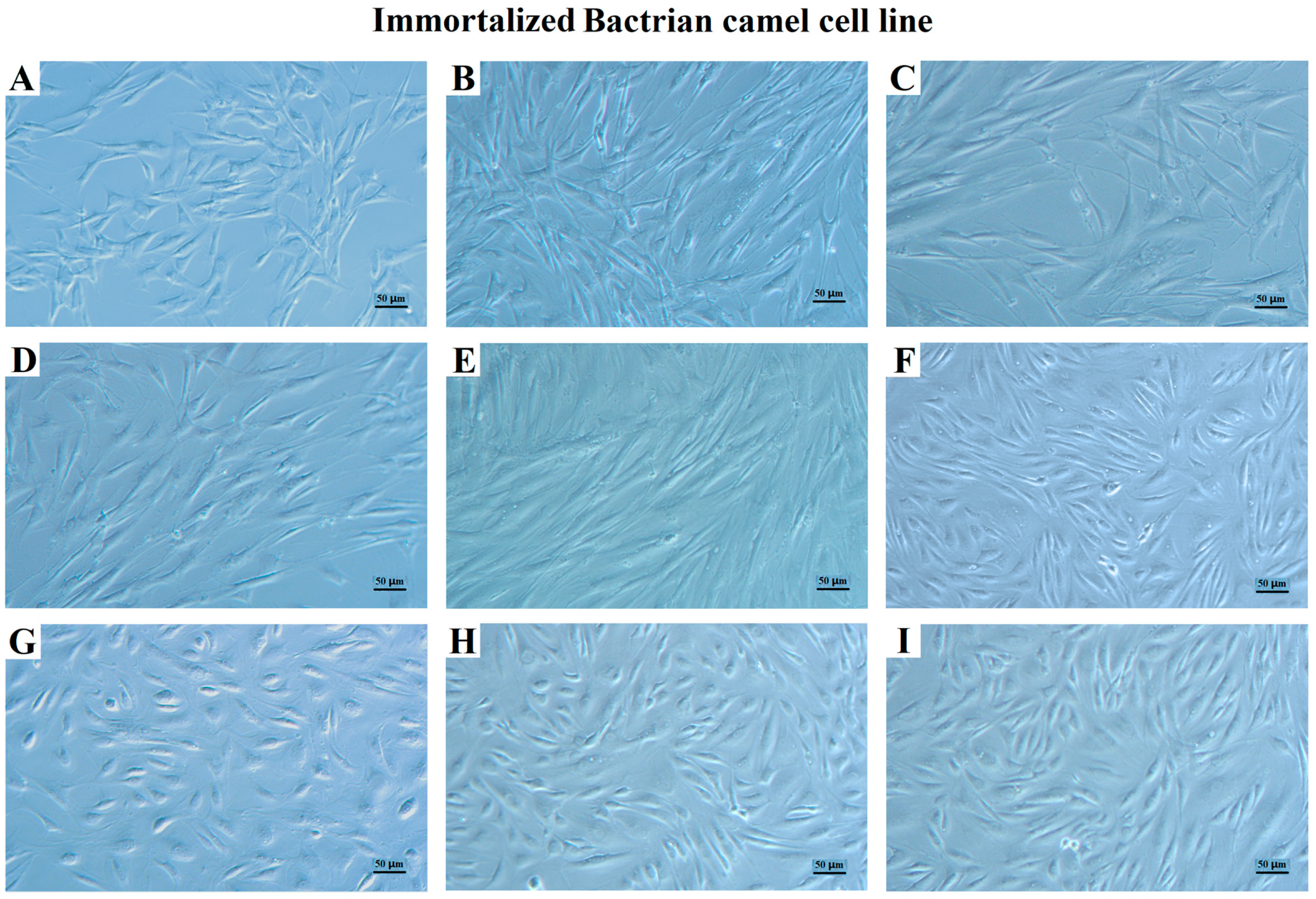 Life 13 01337 g002 Life 13 01337 g002