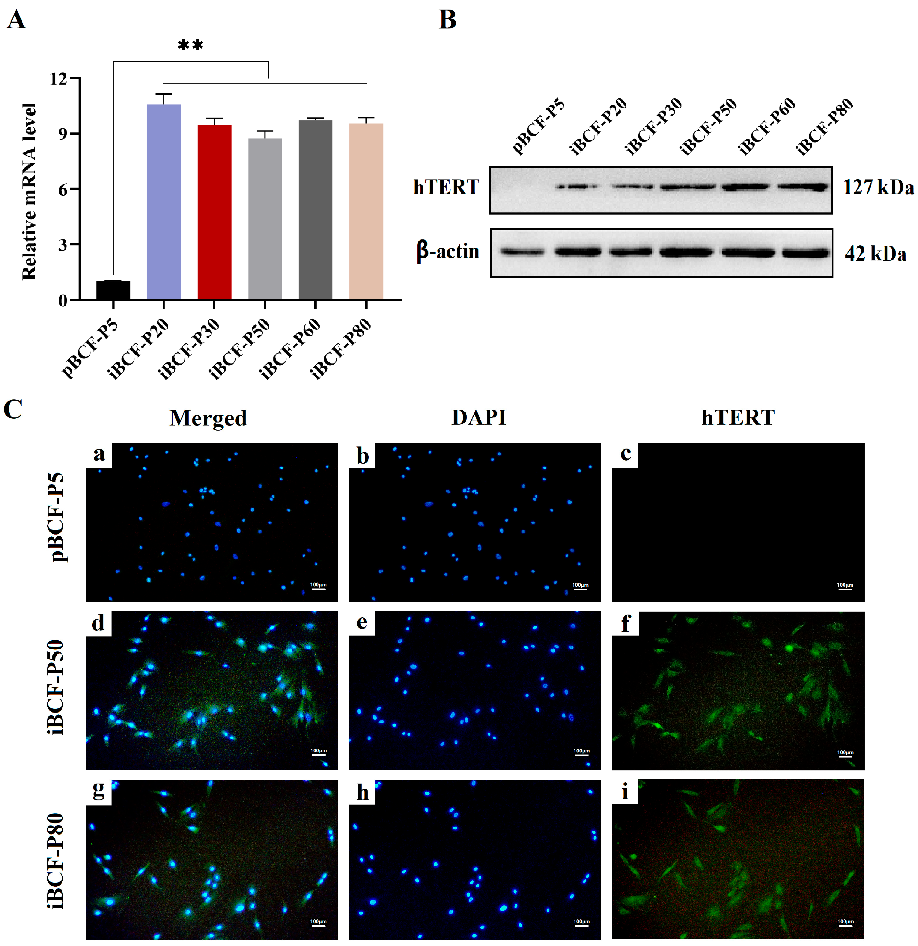 Life 13 01337 g004 Life 13 01337 g004