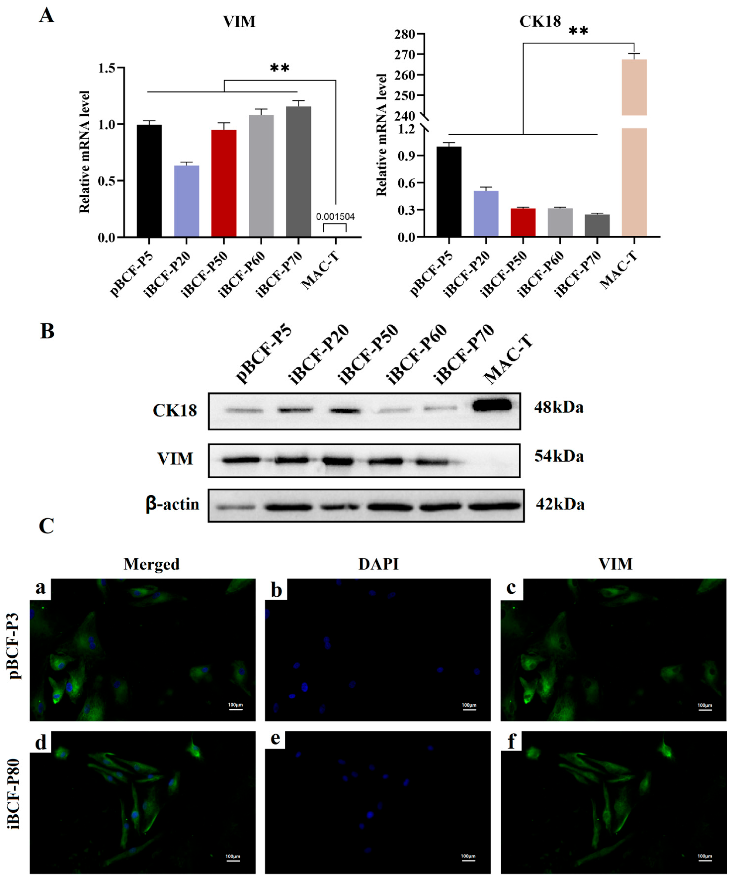 Life 13 01337 g005 Life 13 01337 g005