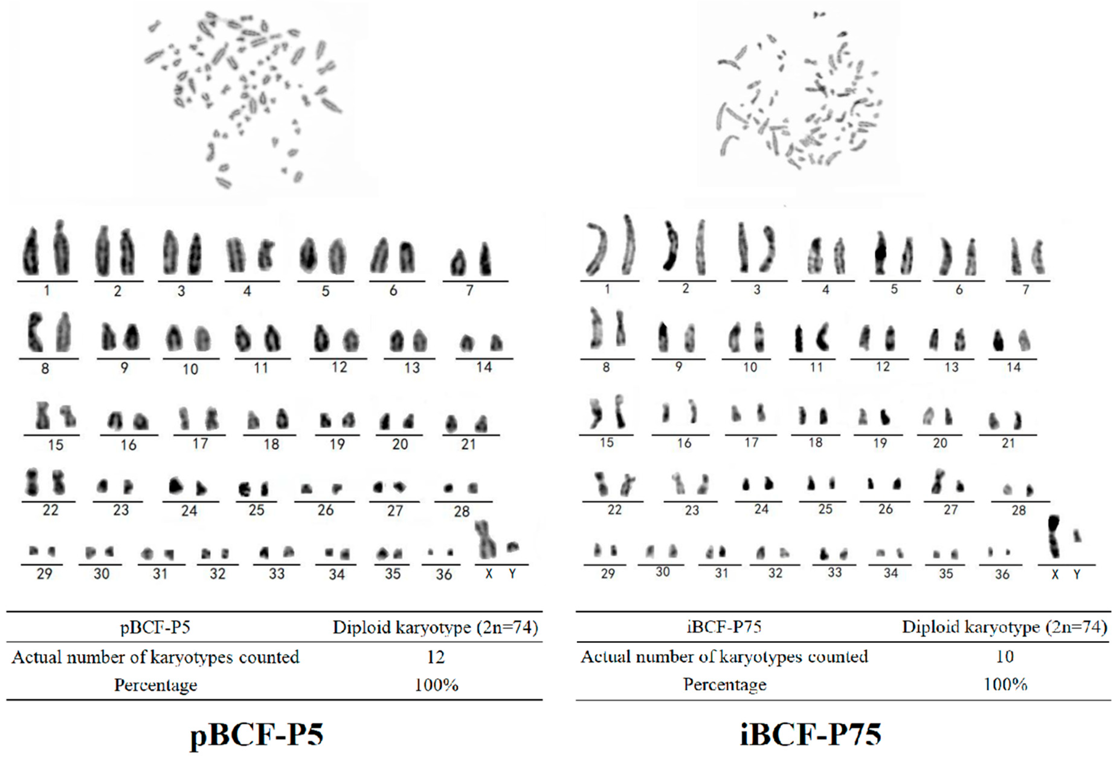 Life 13 01337 g007 Life 13 01337 g007