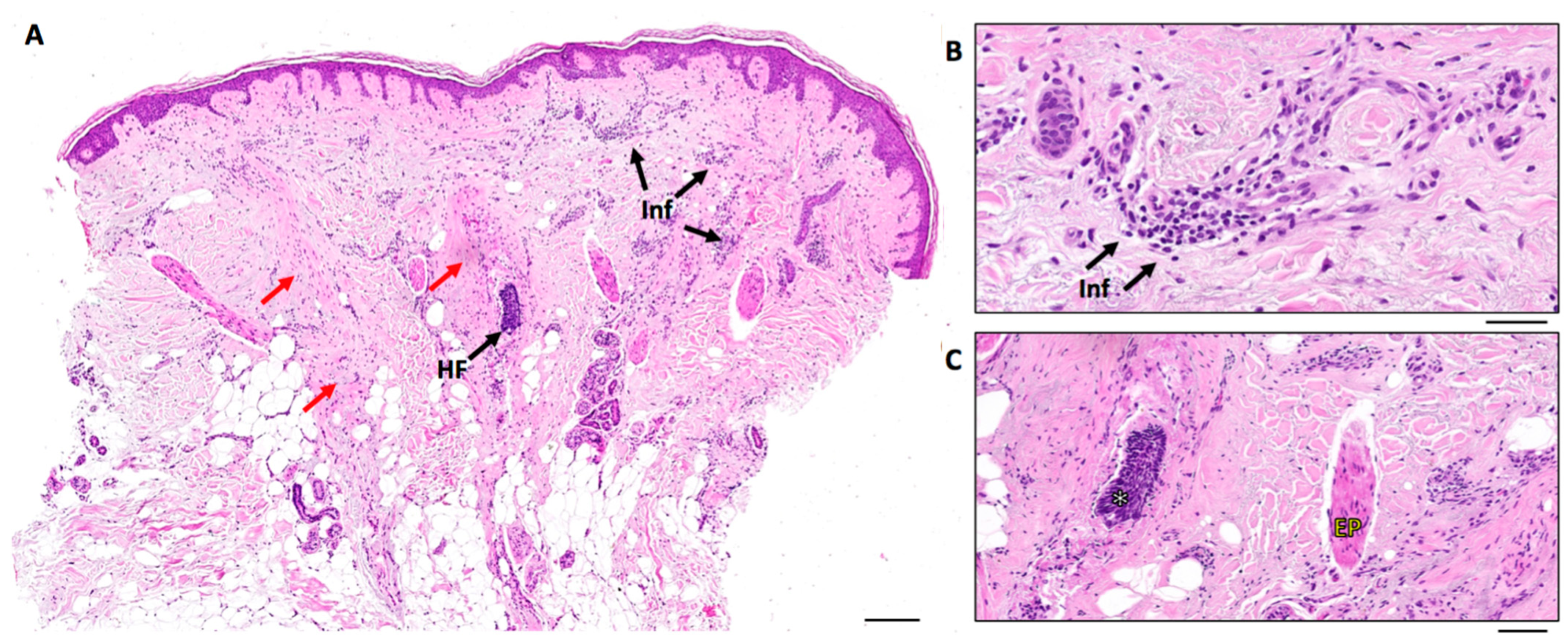 Life 13 01344 g004 Life 13 01344 g004