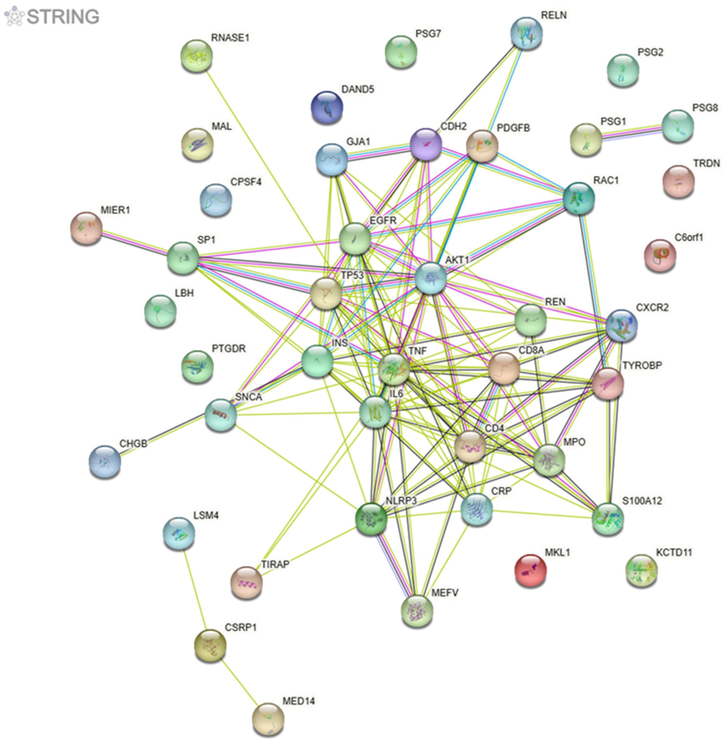 Life 13 01364 g002 Life 13 01364 g002