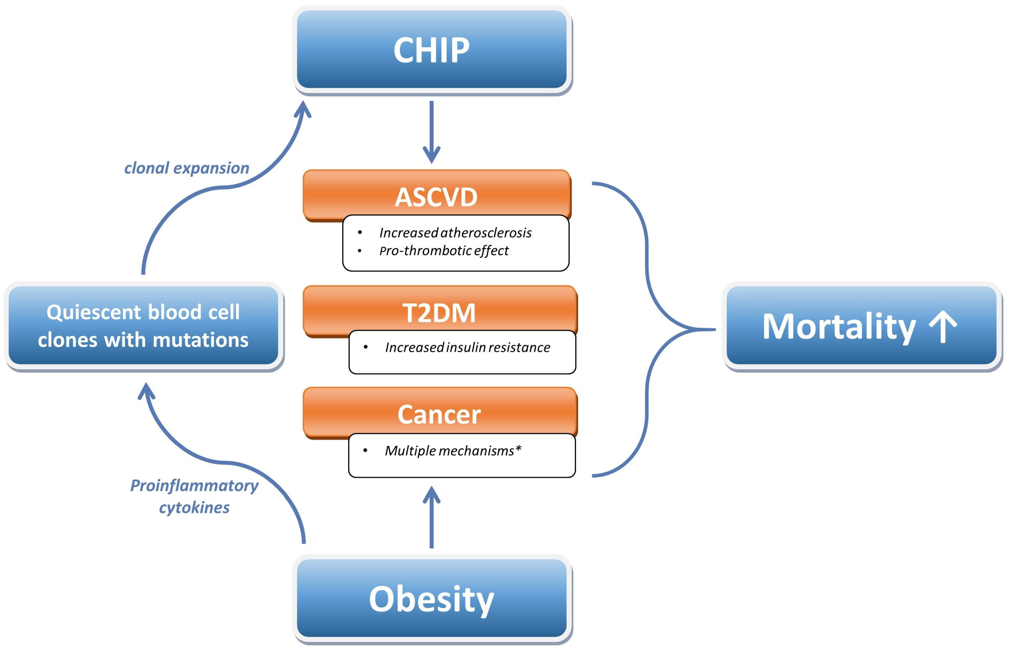 Life 13 01365 g002 Life 13 01365 g002