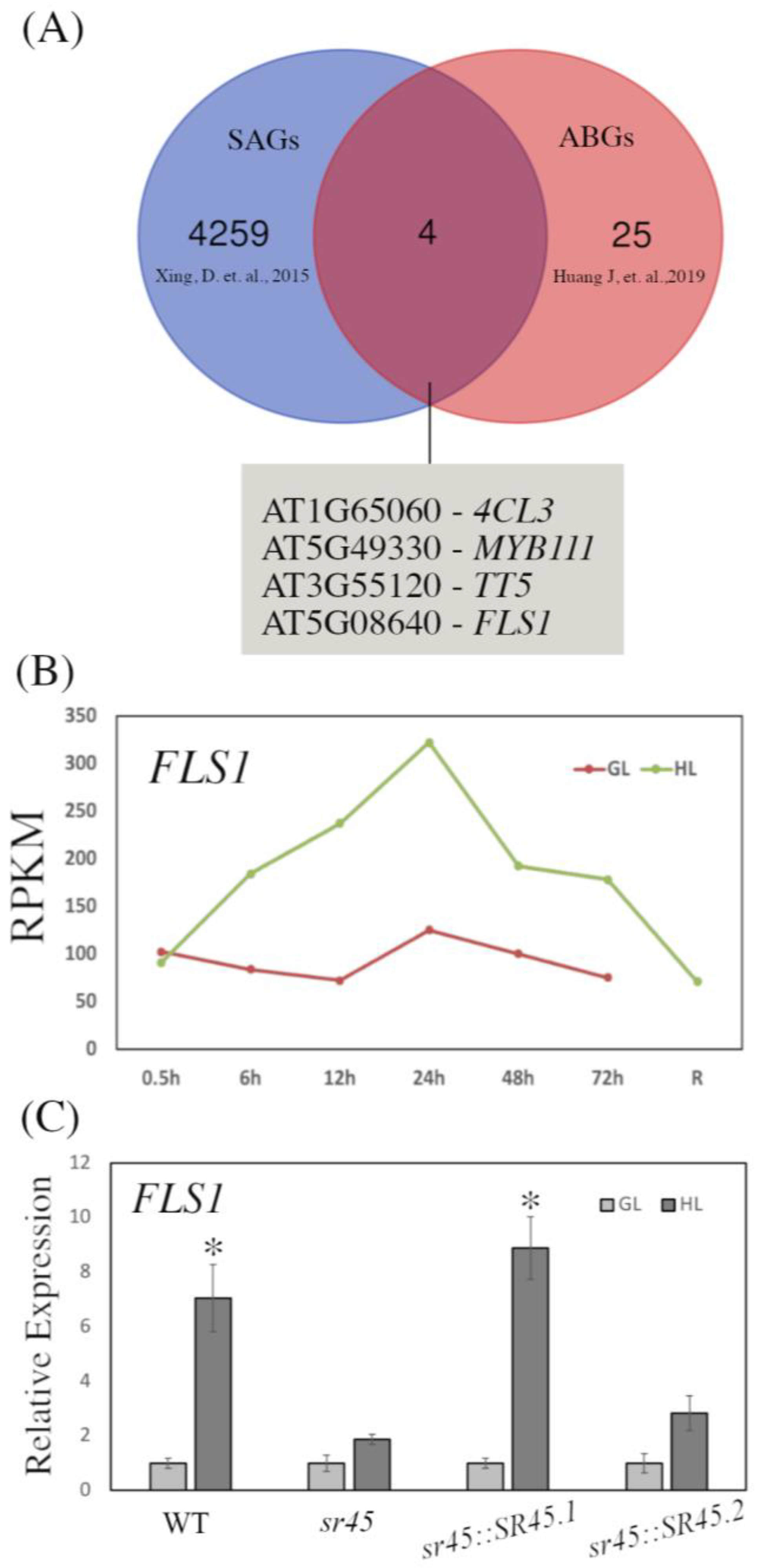 Life 13 01386 g004 Life 13 01386 g004