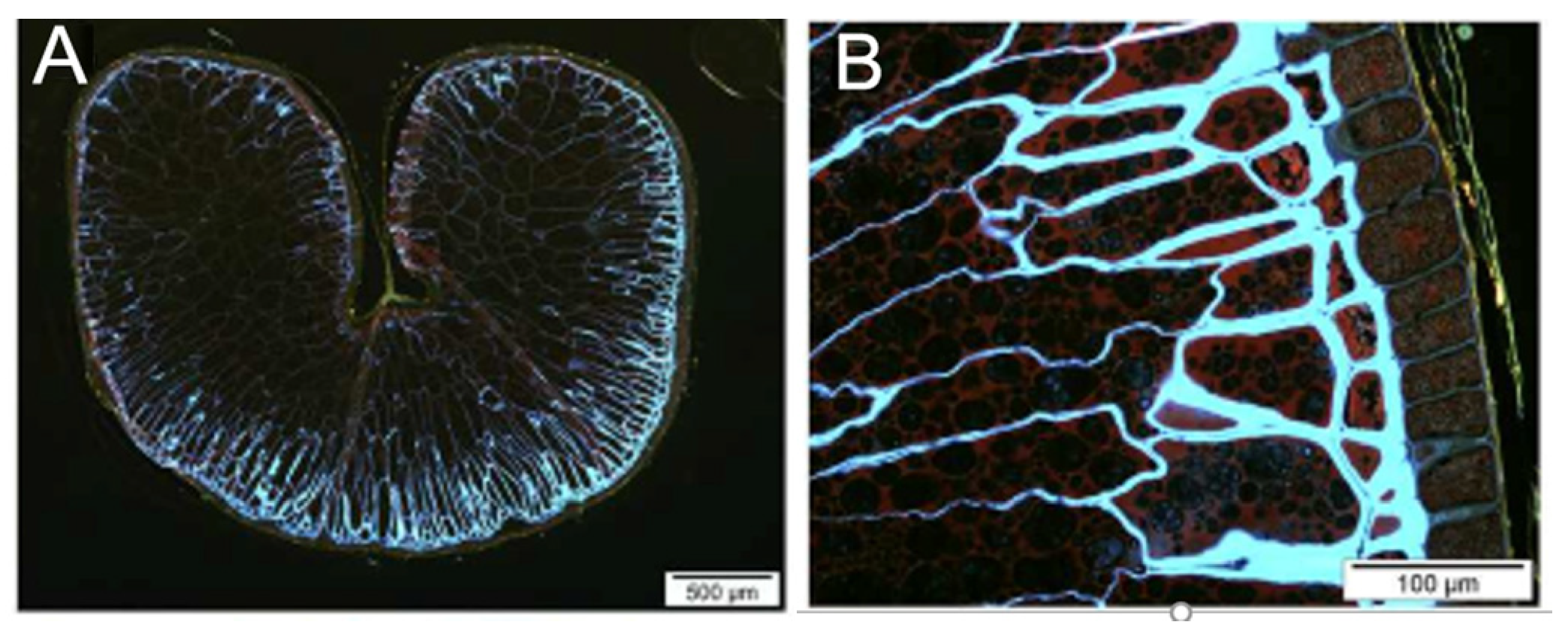 Life 13 01387 g001 Life 13 01387 g001