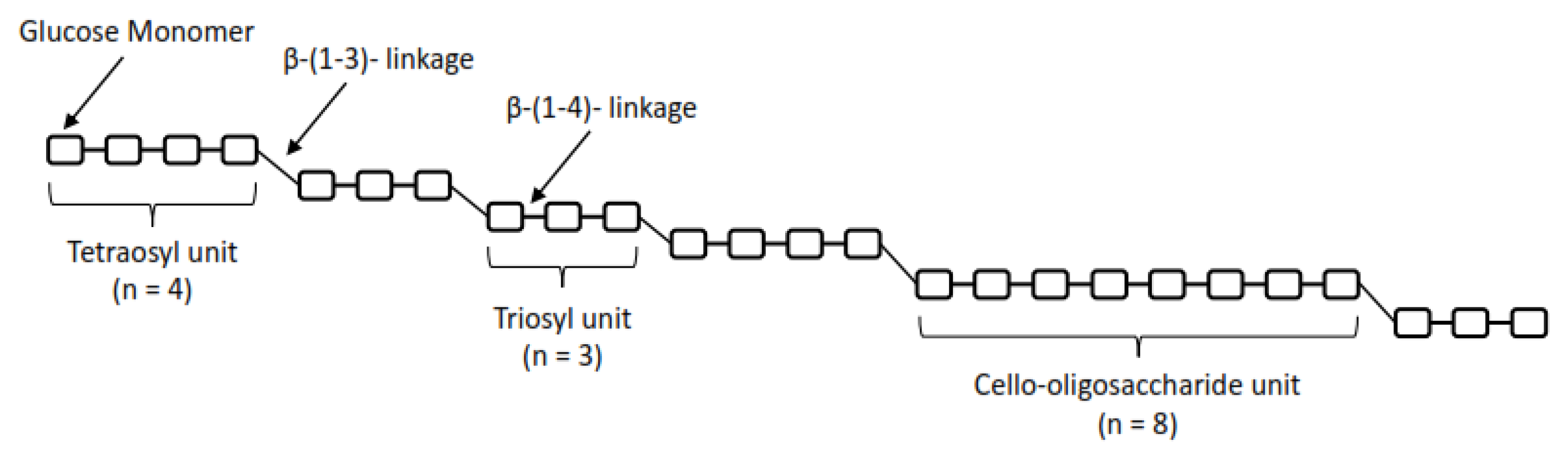 Life 13 01387 g002 Life 13 01387 g002