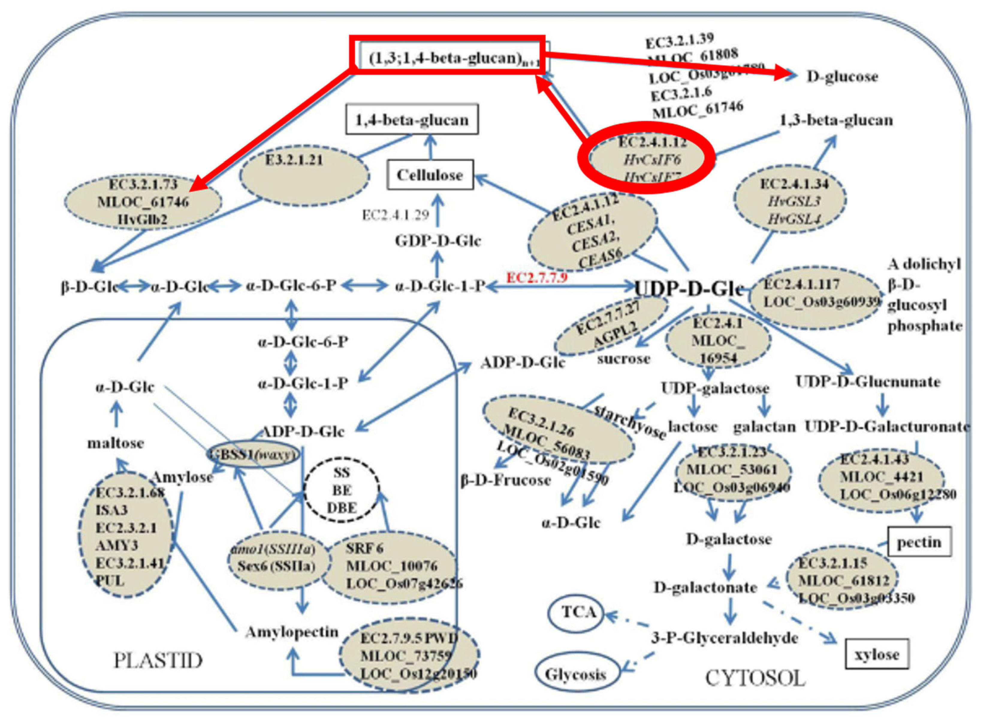 Life 13 01387 g003 Life 13 01387 g003