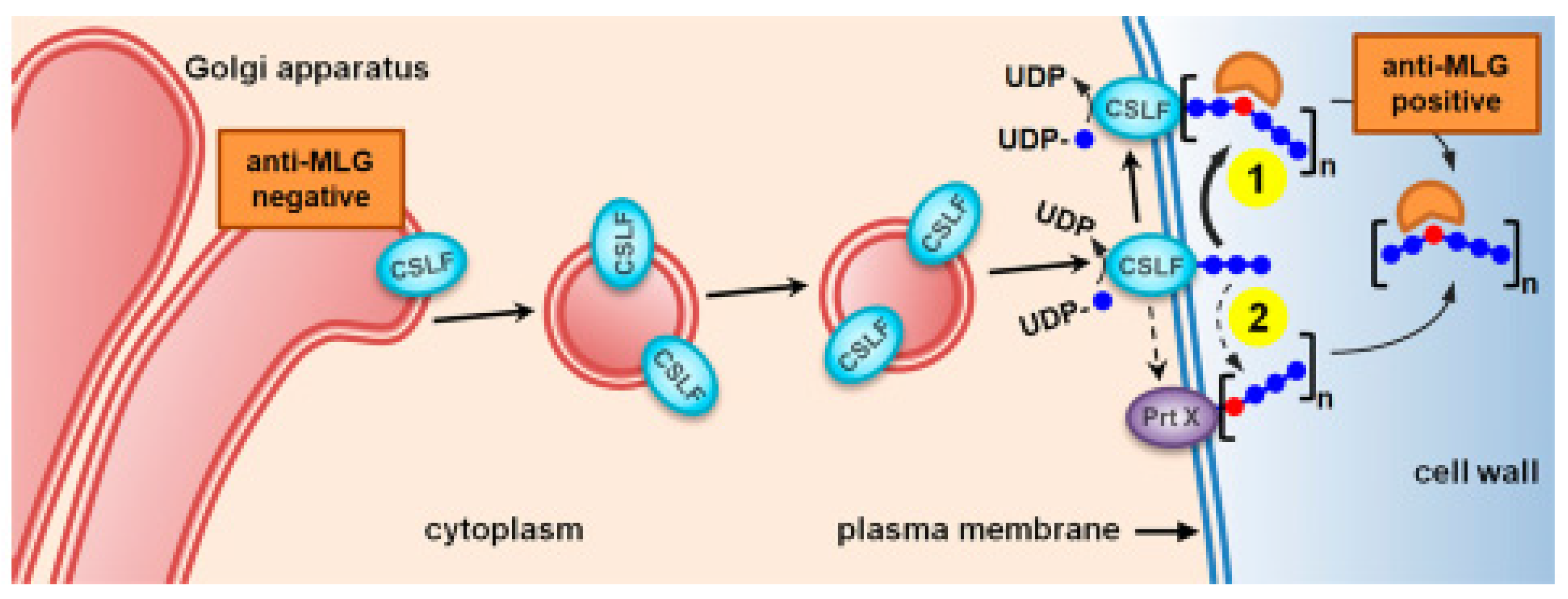 Life 13 01387 g004 Life 13 01387 g004
