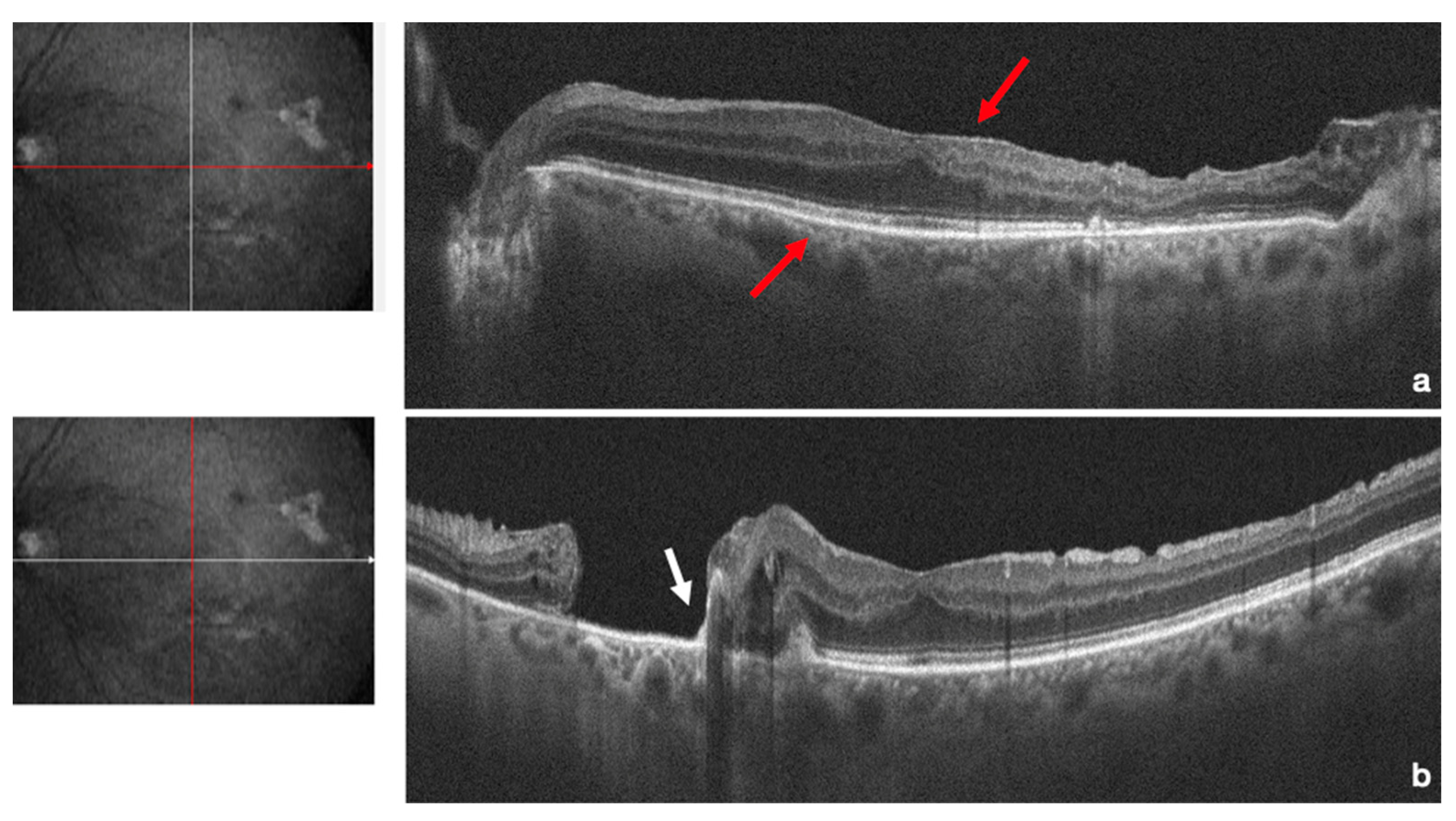 Life 13 01390 g003 Life 13 01390 g003