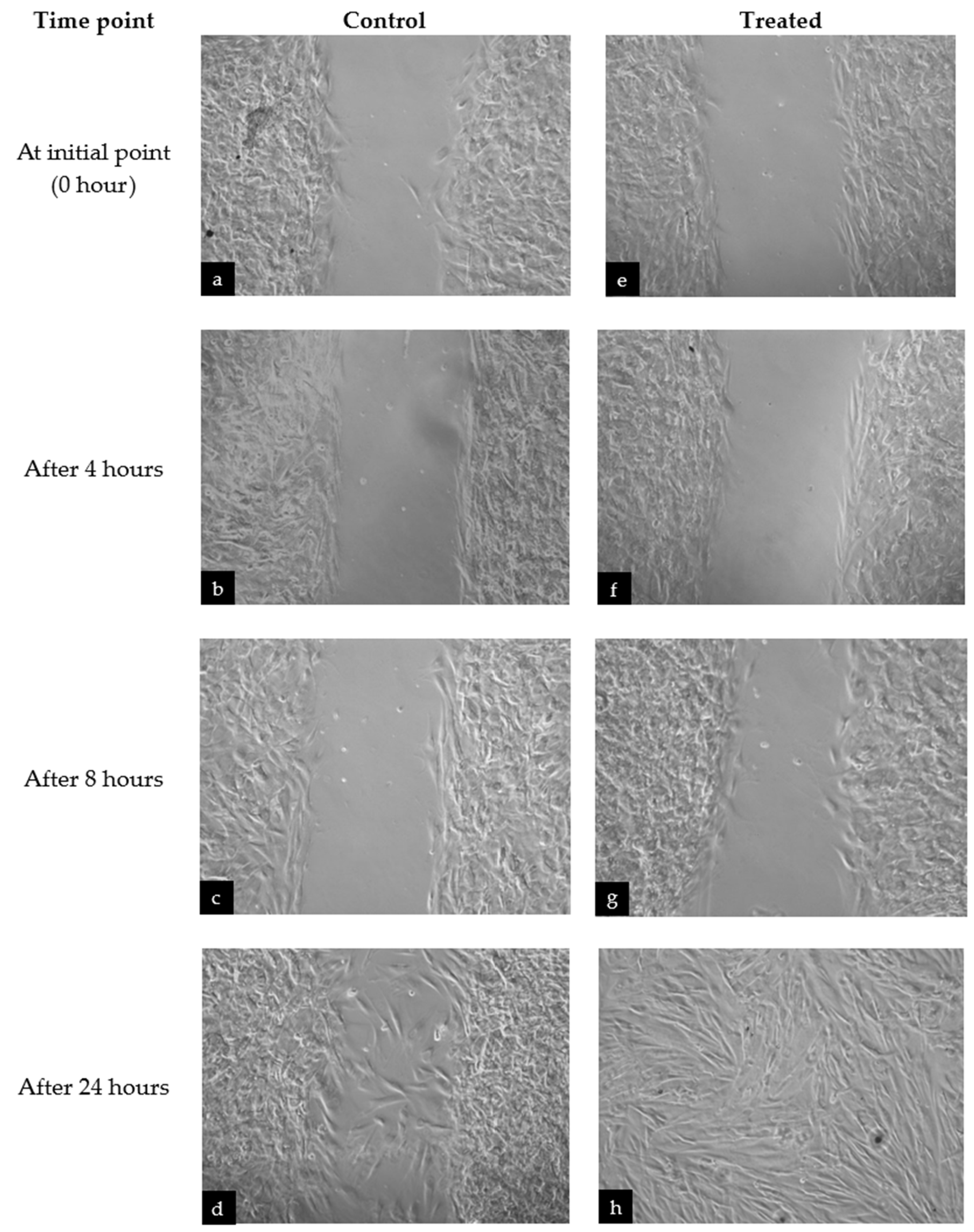 Life 13 01409 g002 Life 13 01409 g002