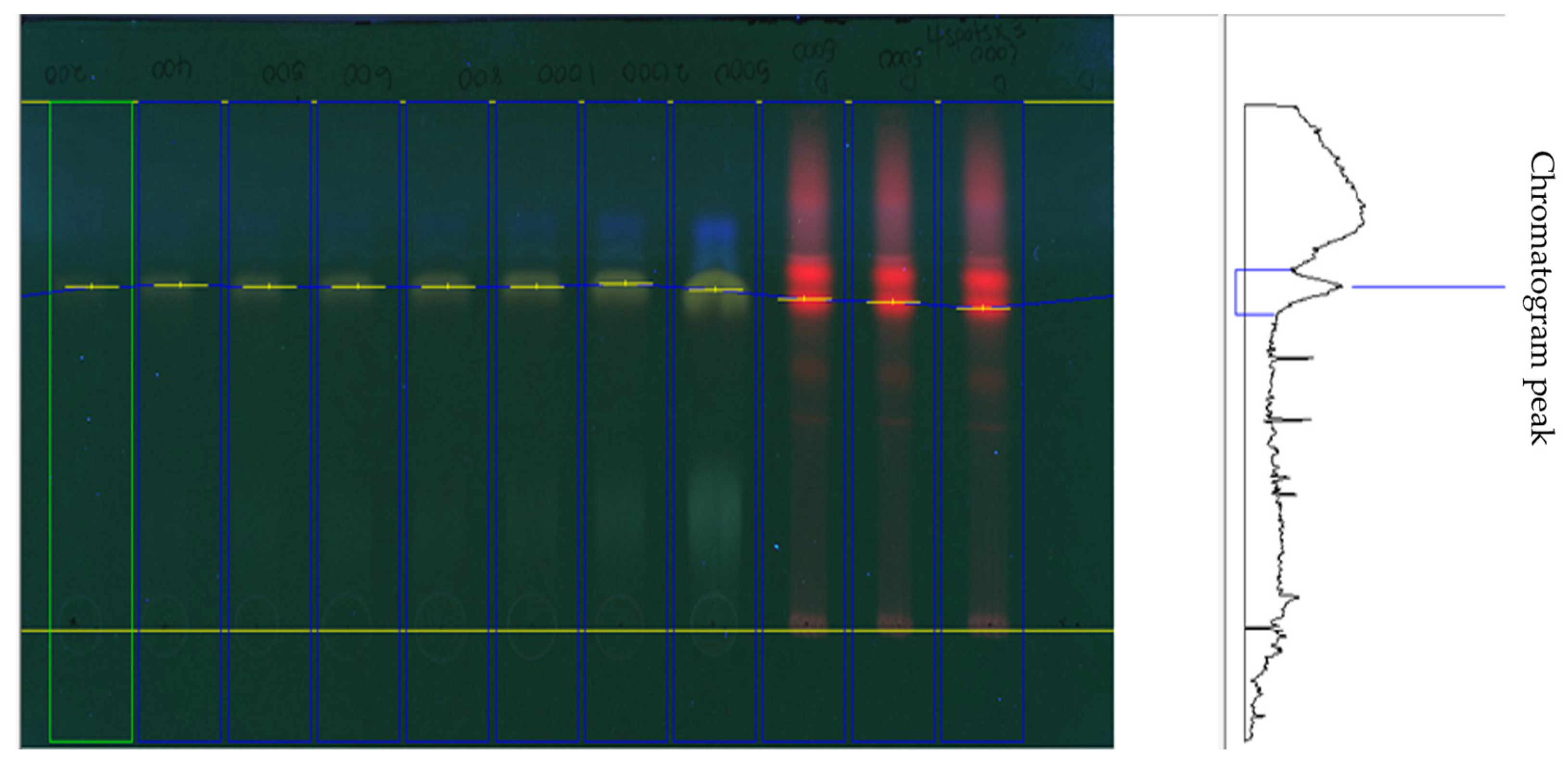 Life 13 01409 g005 Life 13 01409 g005