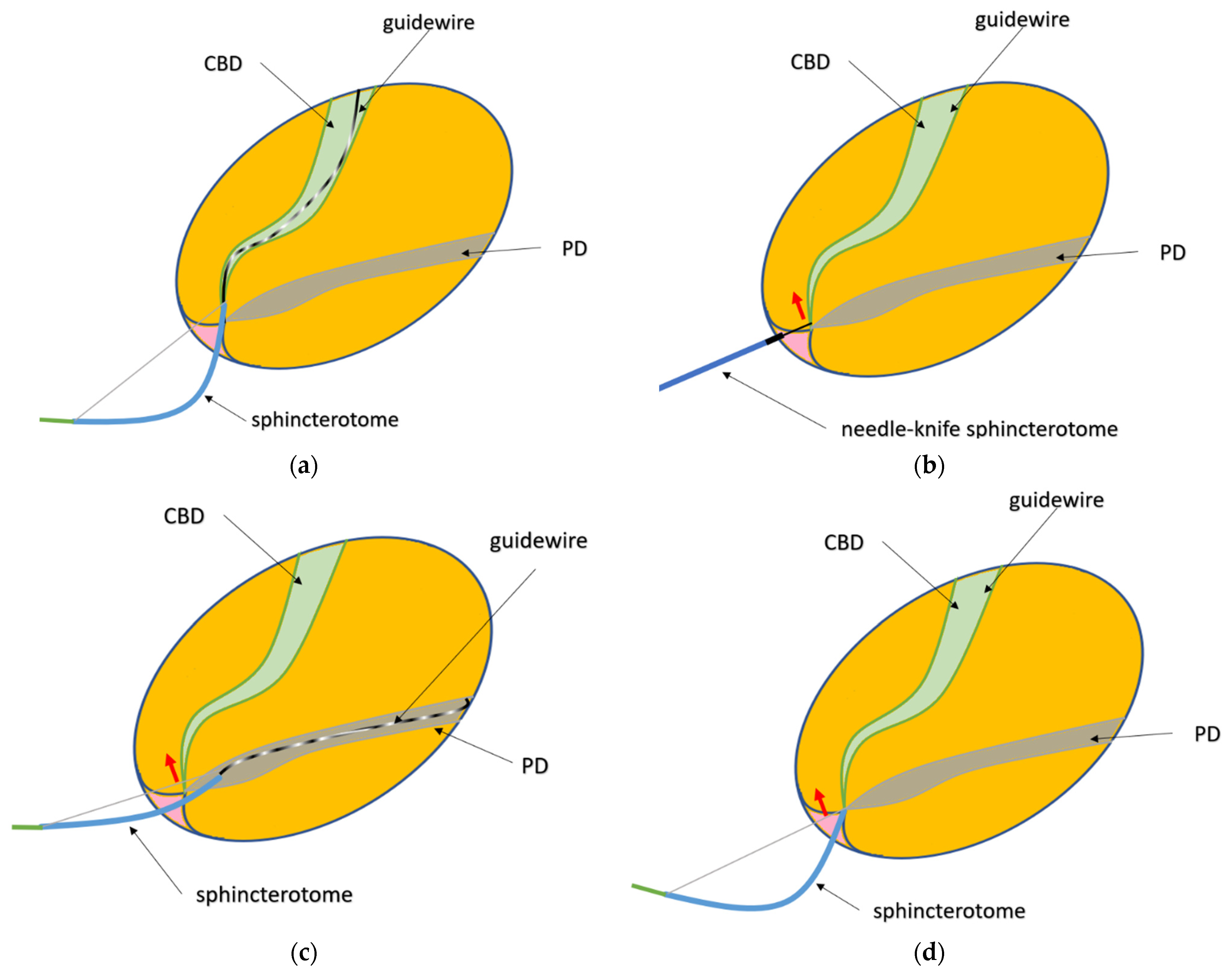 Life 13 01410 g001 Life 13 01410 g001