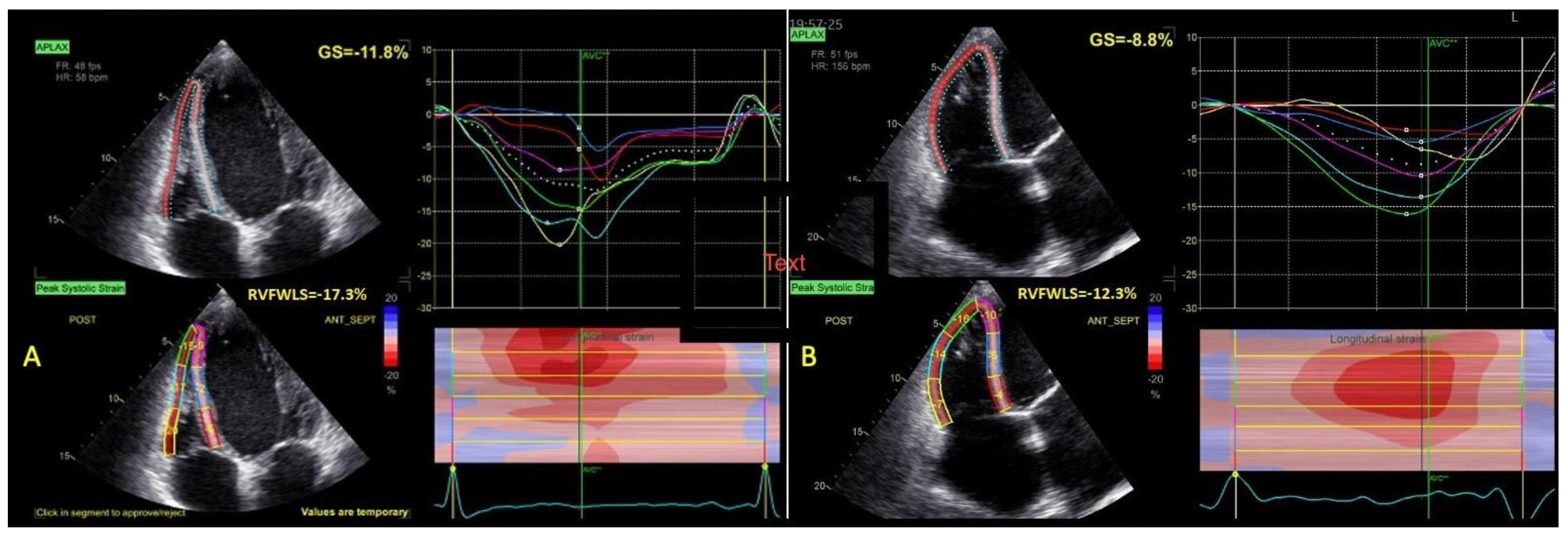 Life 13 01421 g002 Life 13 01421 g002