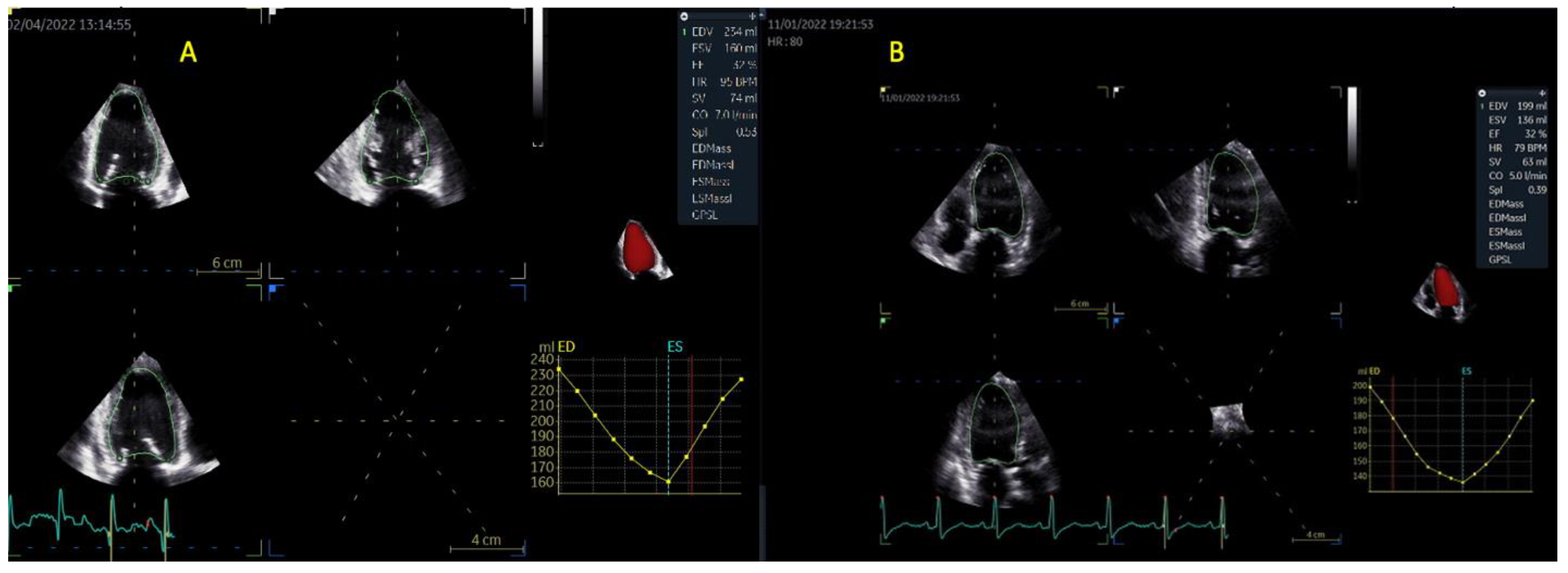 Life 13 01421 g004 Life 13 01421 g004