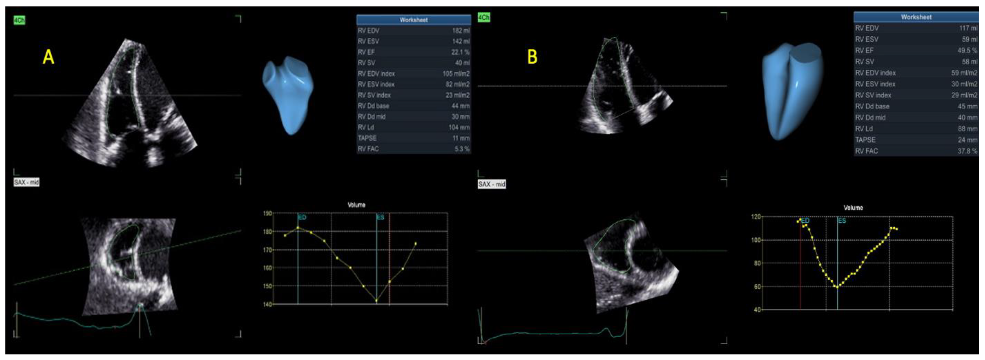 Life 13 01421 g005 Life 13 01421 g005