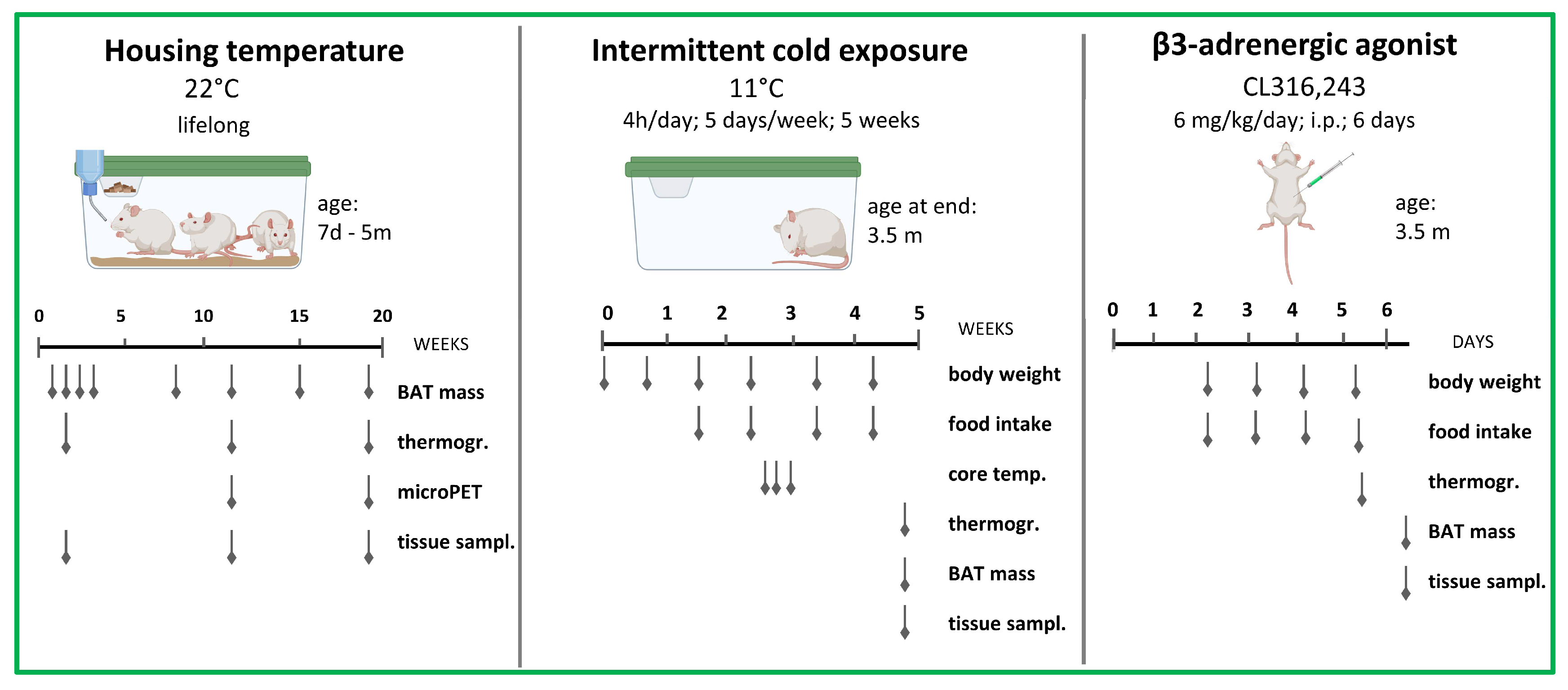 Life 13 01436 g001 Life 13 01436 g001