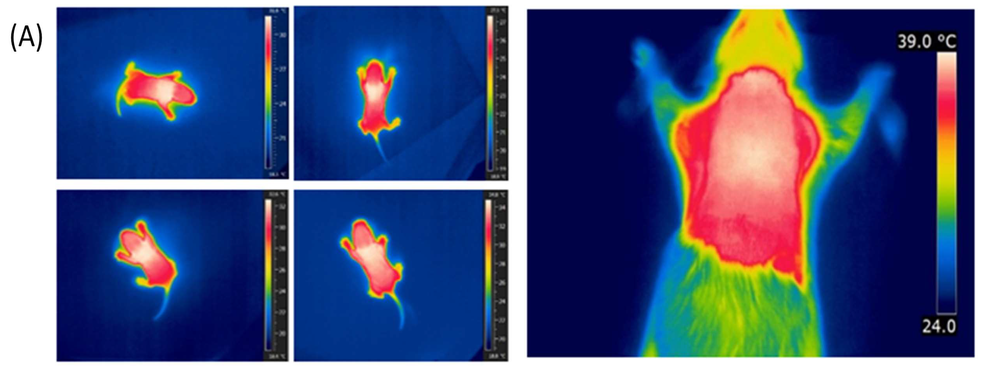 Life 13 01436 g003a Life 13 01436 g003a