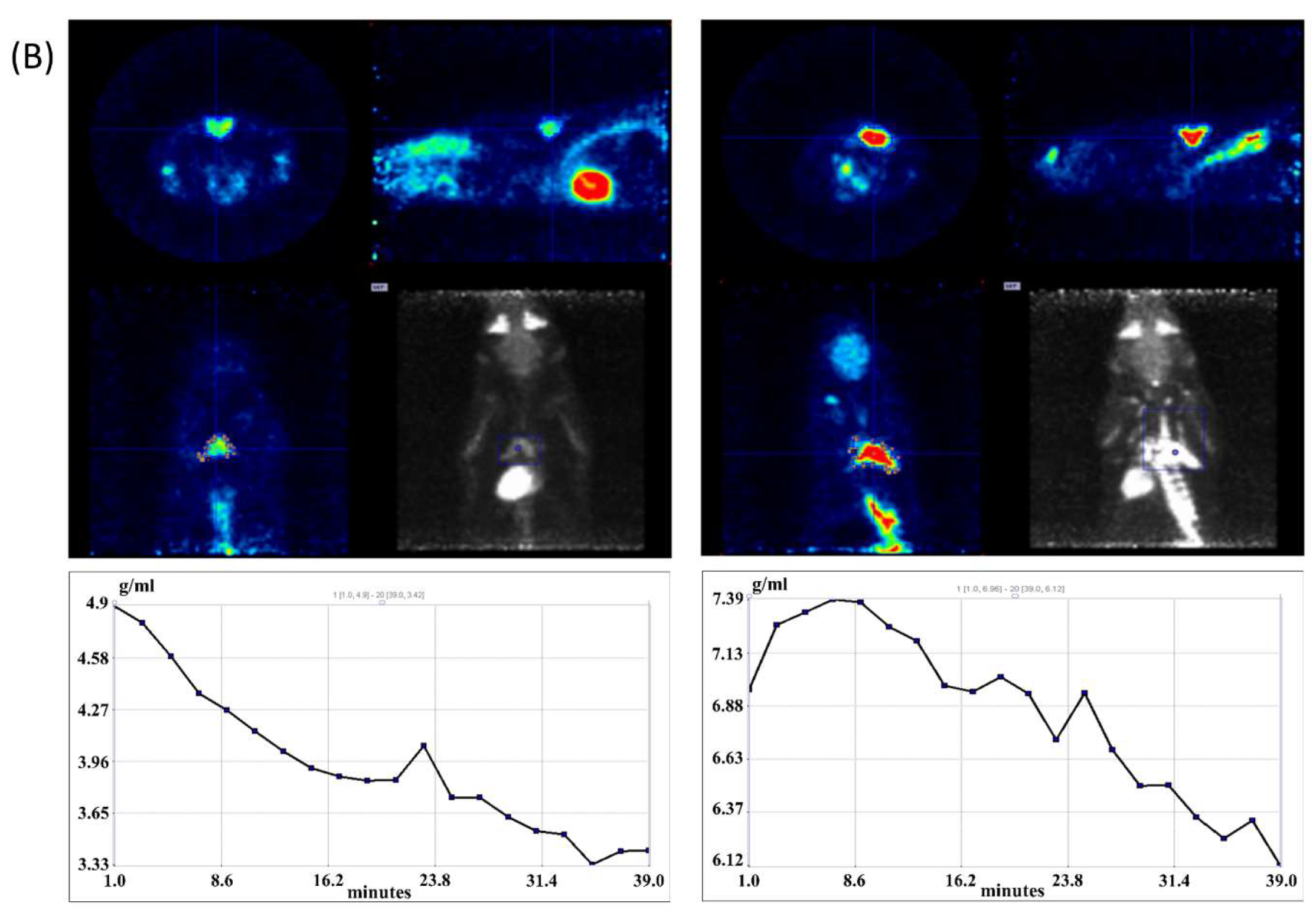 Life 13 01436 g003b Life 13 01436 g003b