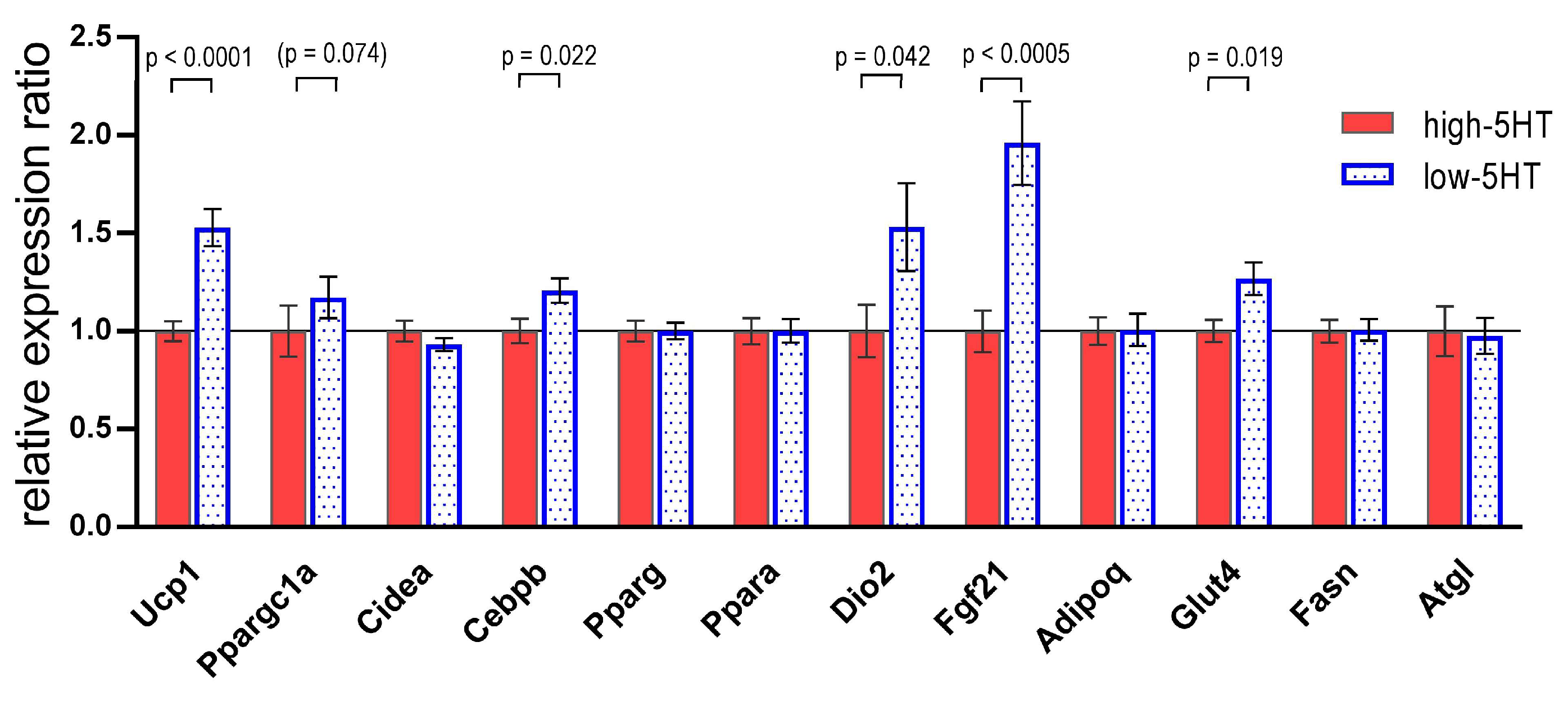 Life 13 01436 g004 Life 13 01436 g004