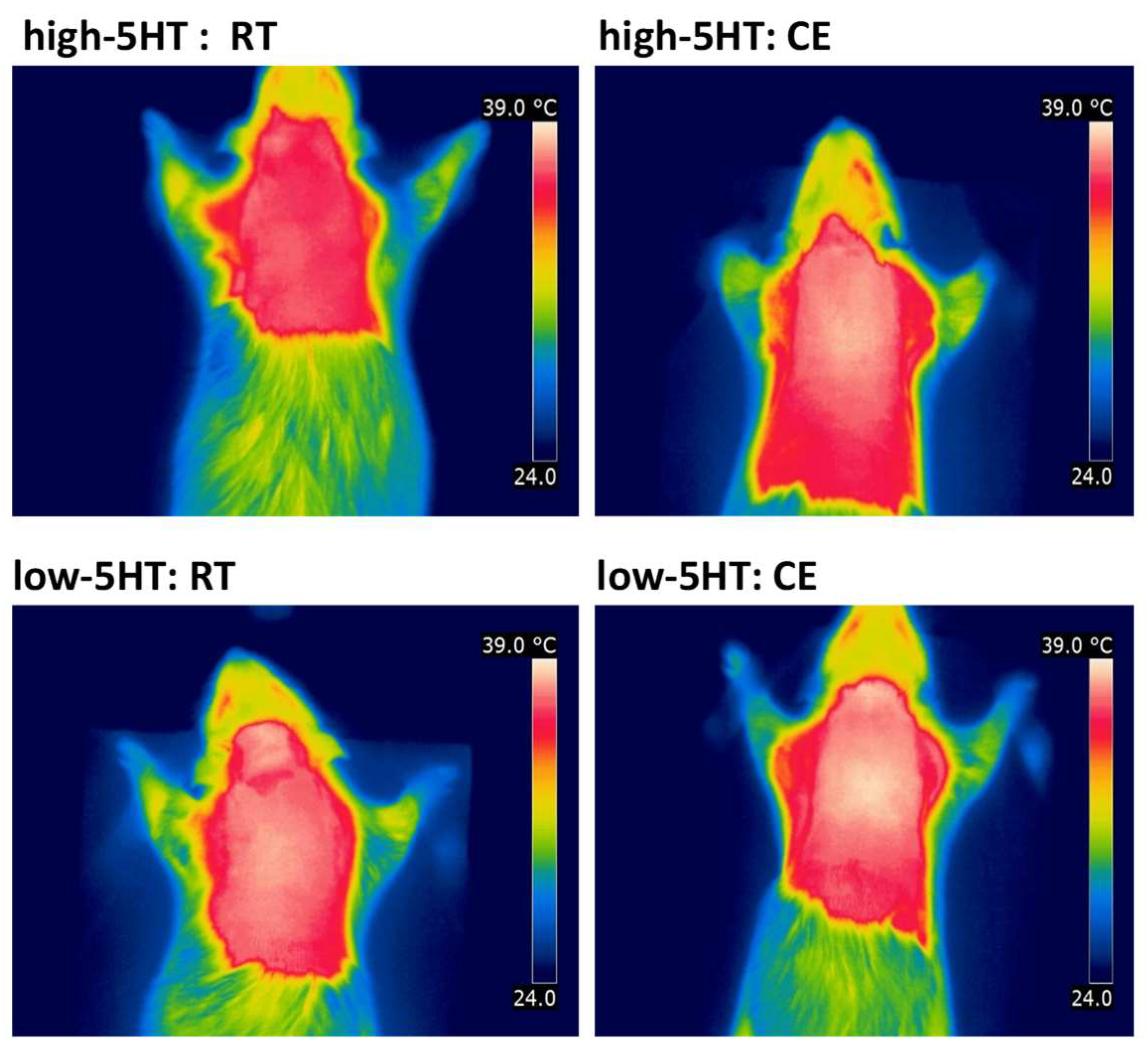 Life 13 01436 g007 Life 13 01436 g007