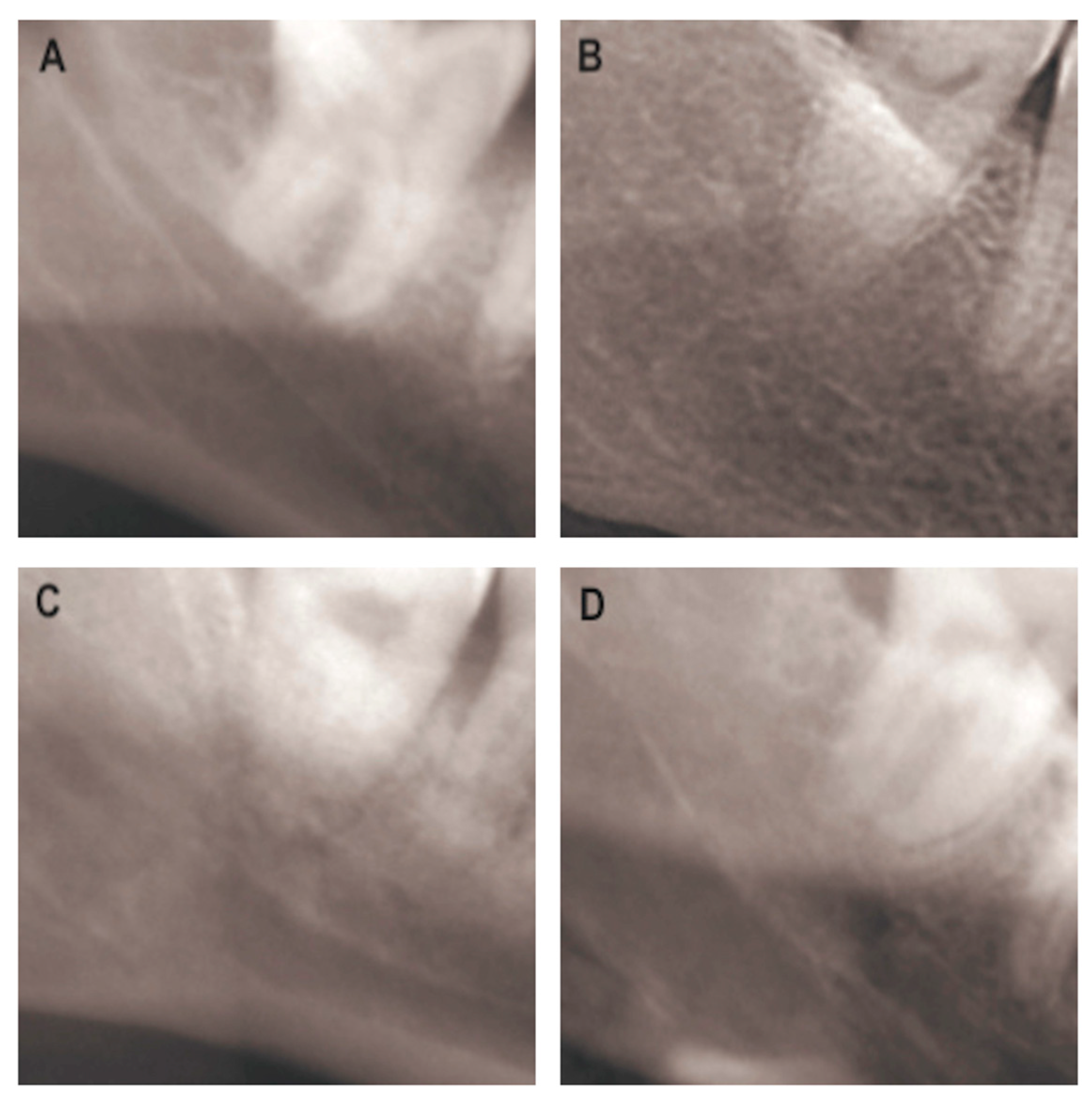 Life 13 01441 g002 Life 13 01441 g002