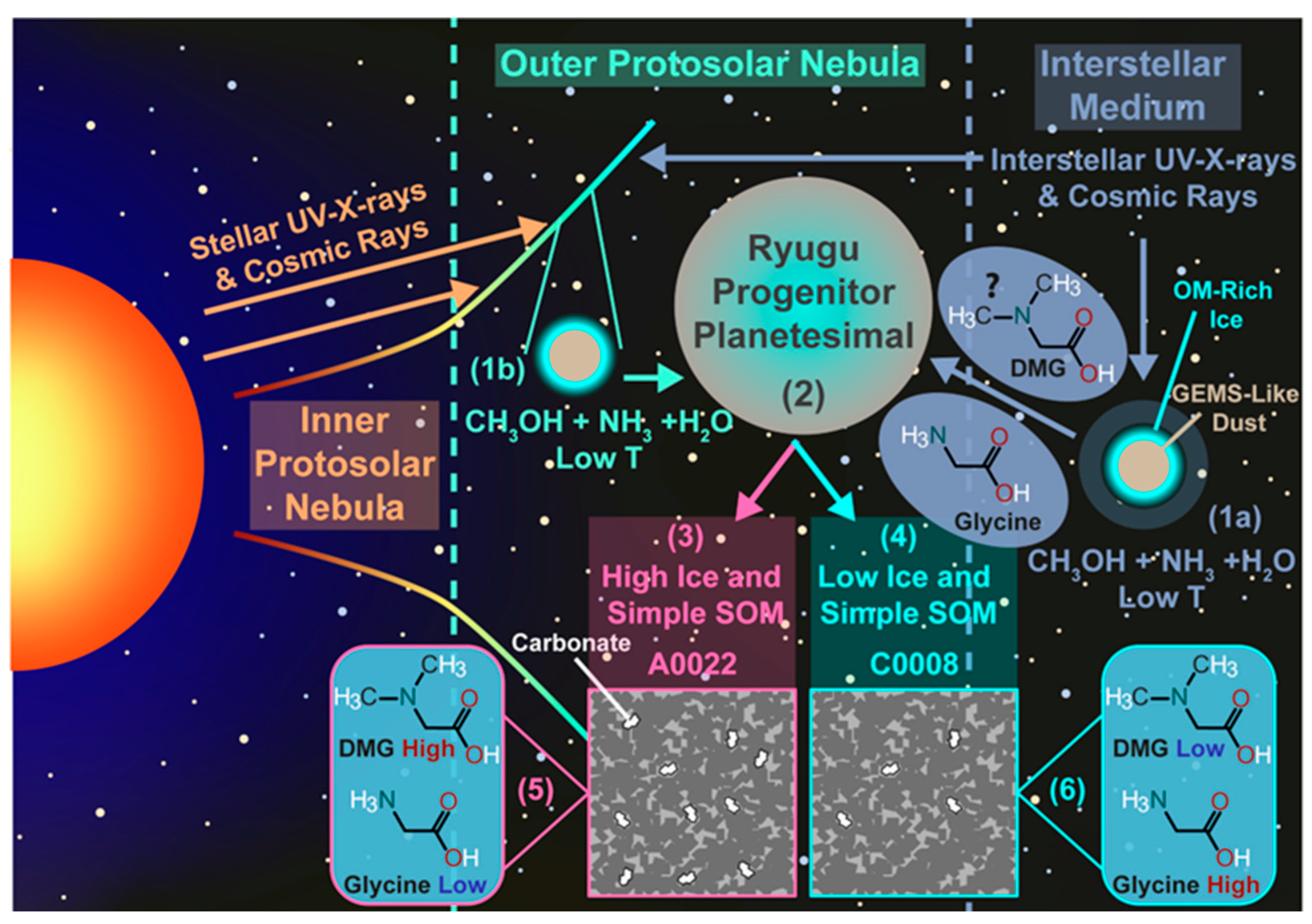 Life 13 01448 g004 Life 13 01448 g004