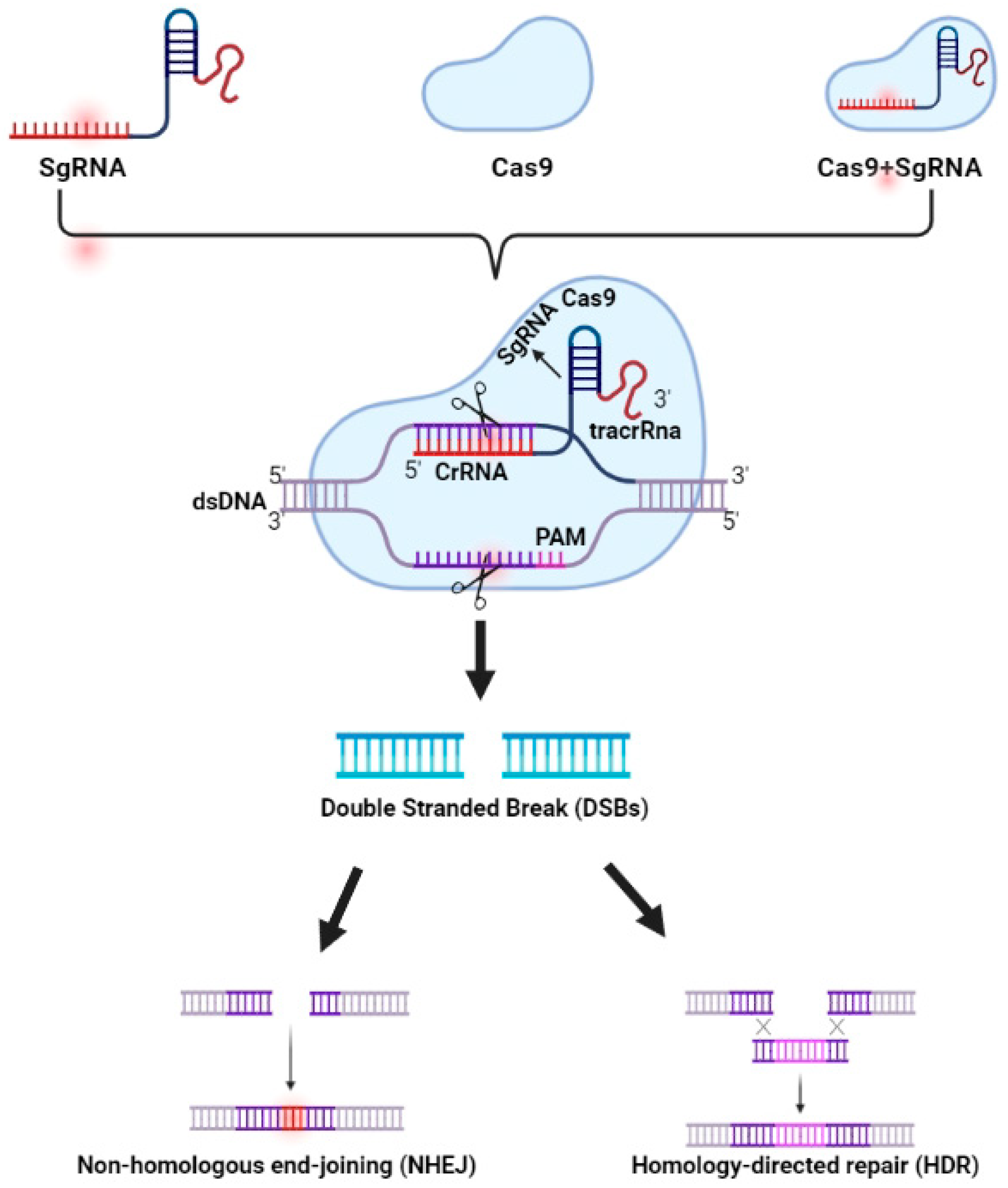 Life 13 01456 g002 Life 13 01456 g002