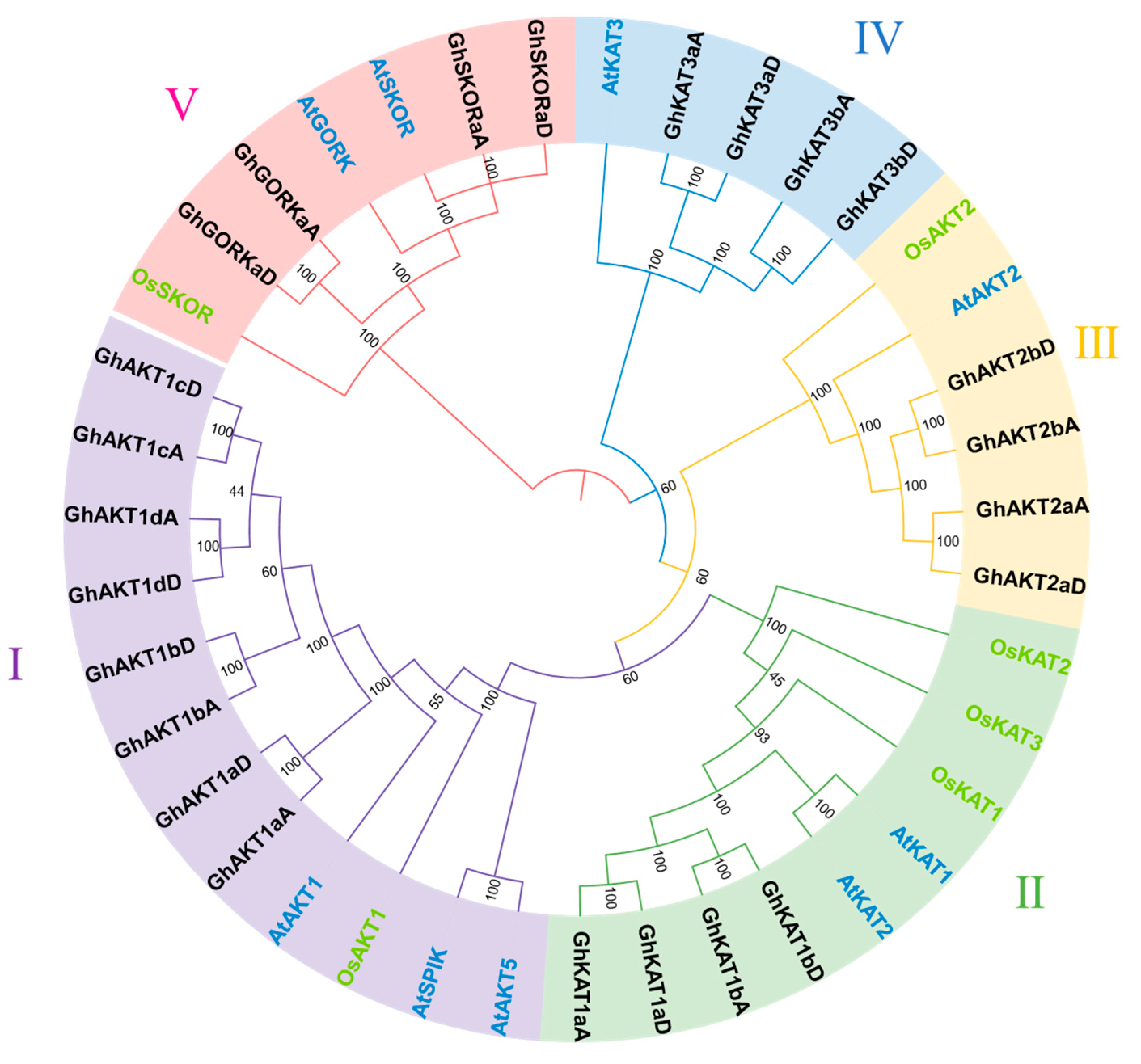 Life 13 01461 g001 Life 13 01461 g001