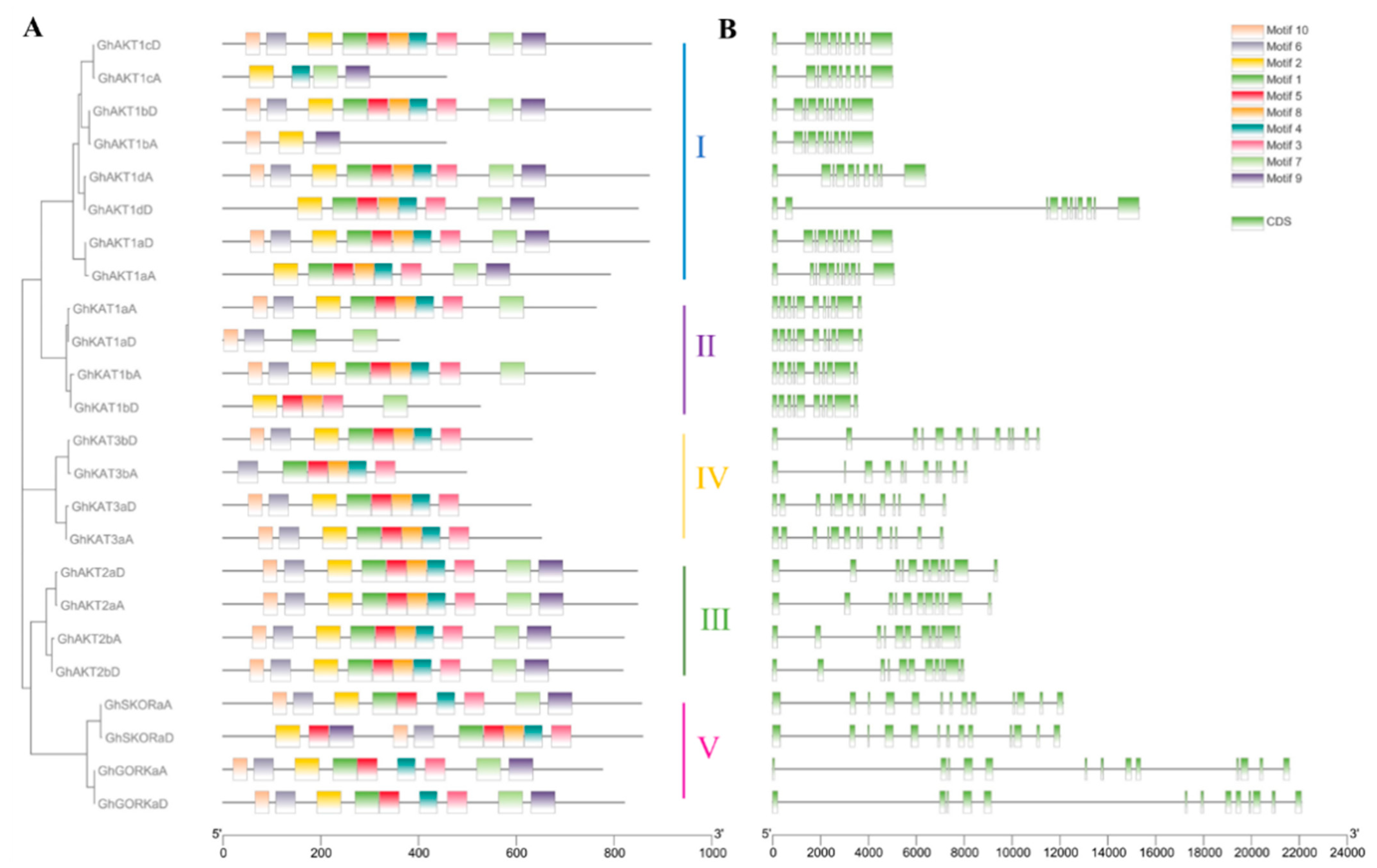 Life 13 01461 g002 Life 13 01461 g002
