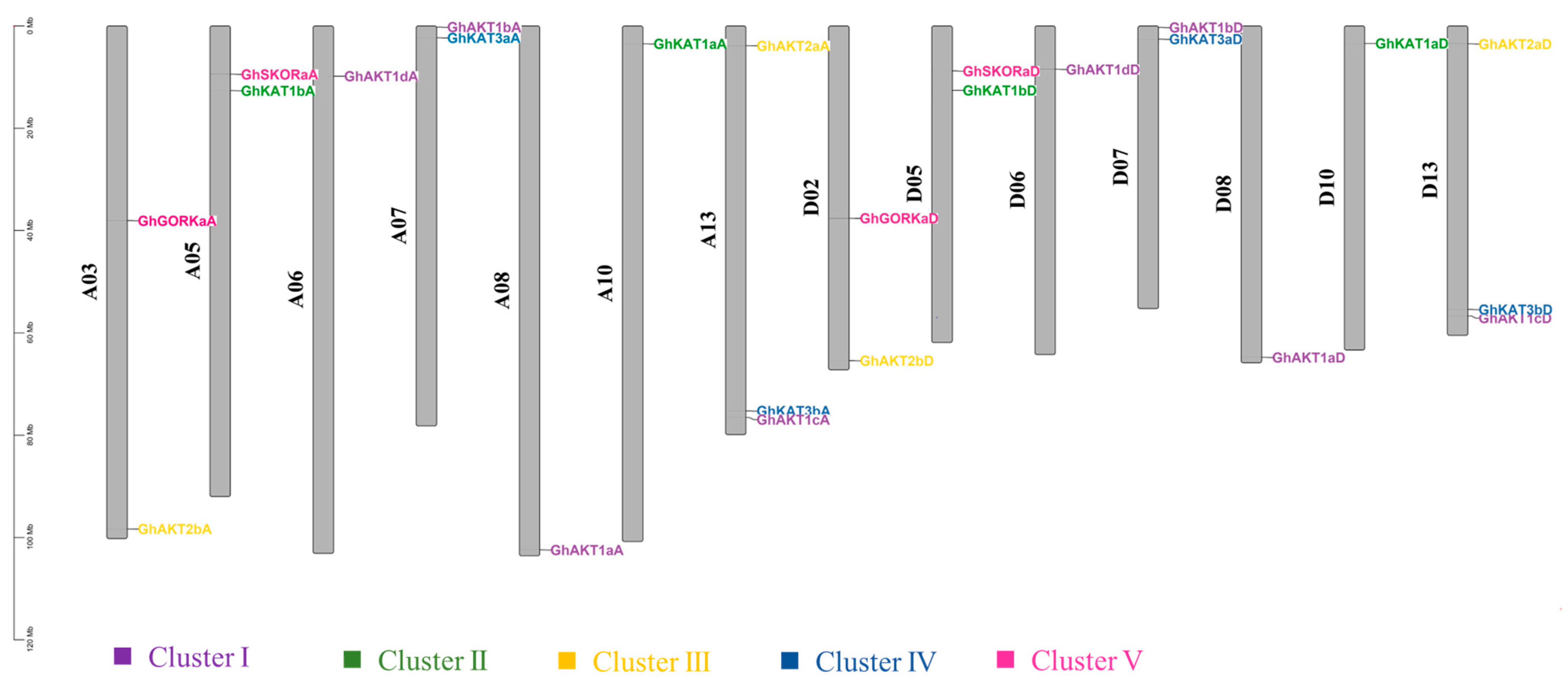 Life 13 01461 g003 Life 13 01461 g003