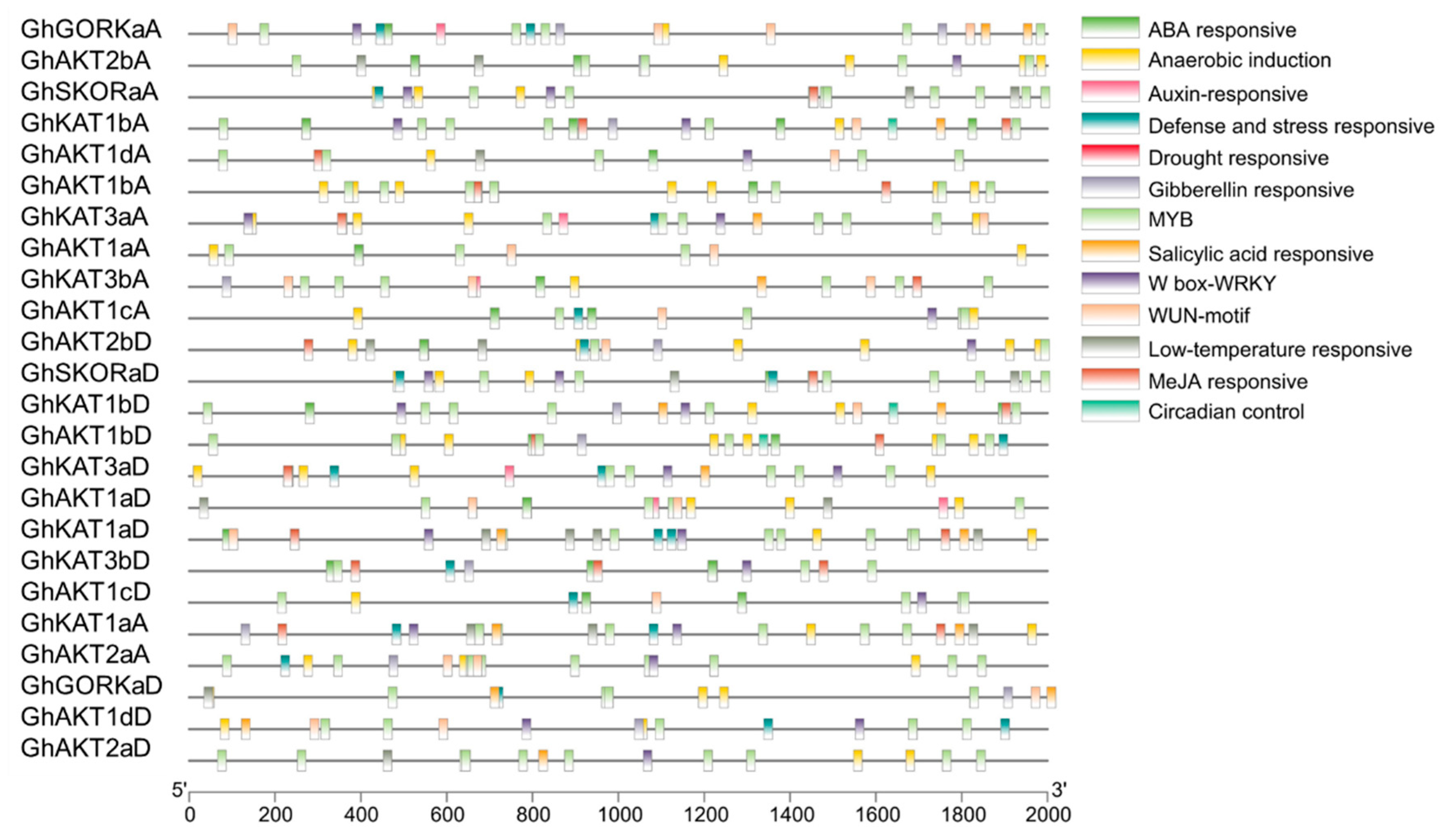 Life 13 01461 g004 Life 13 01461 g004