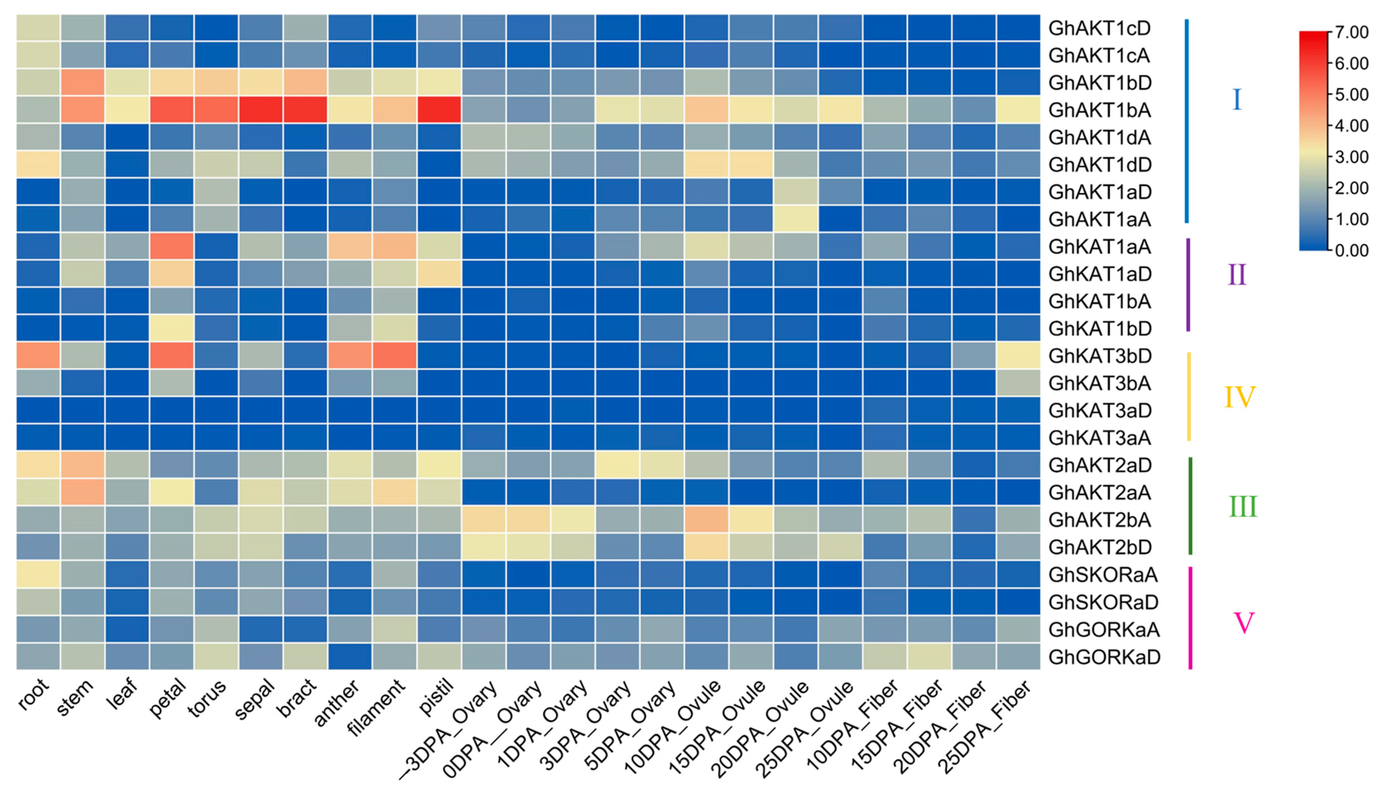 Life 13 01461 g005 Life 13 01461 g005