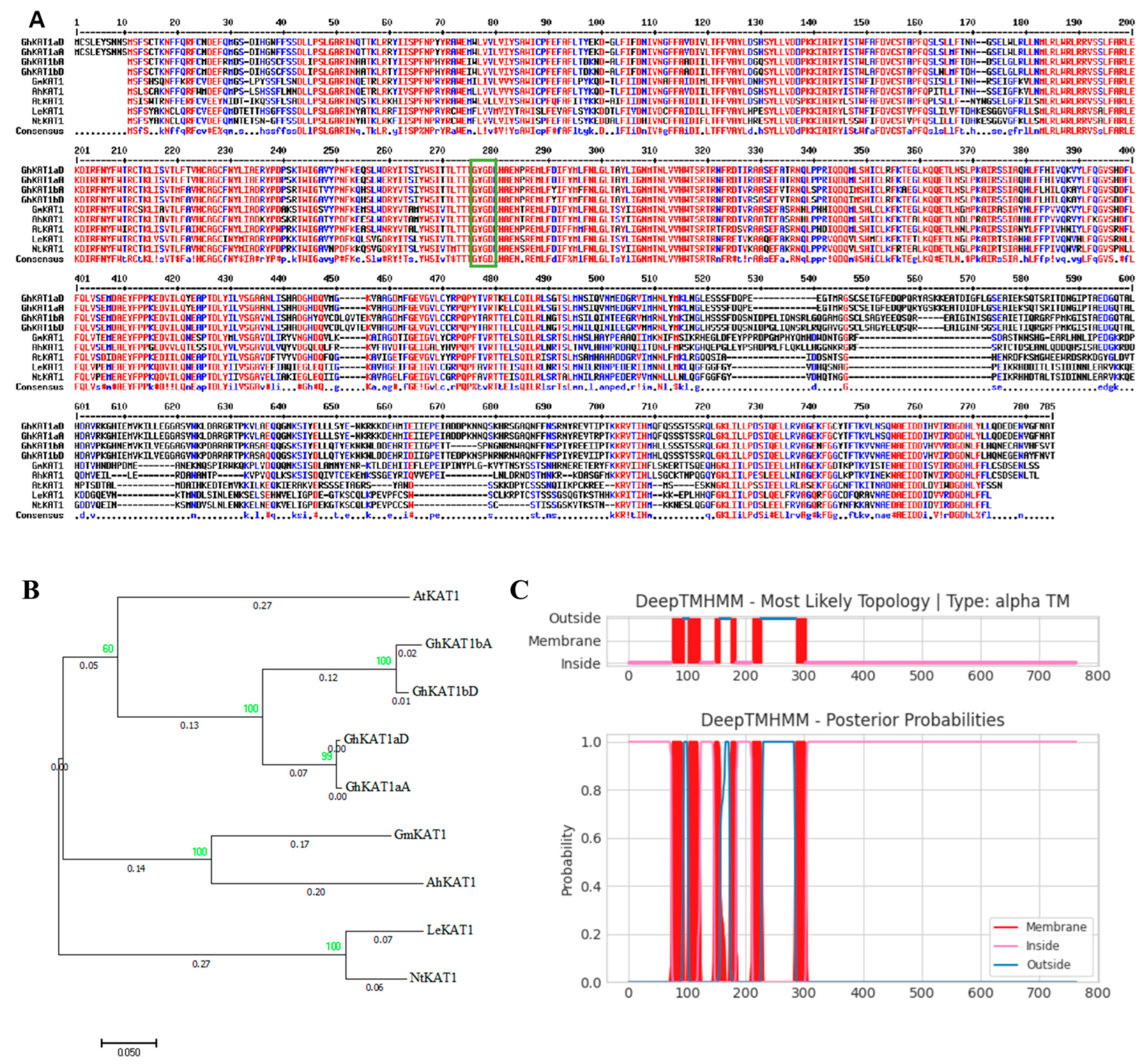 Life 13 01461 g009 Life 13 01461 g009