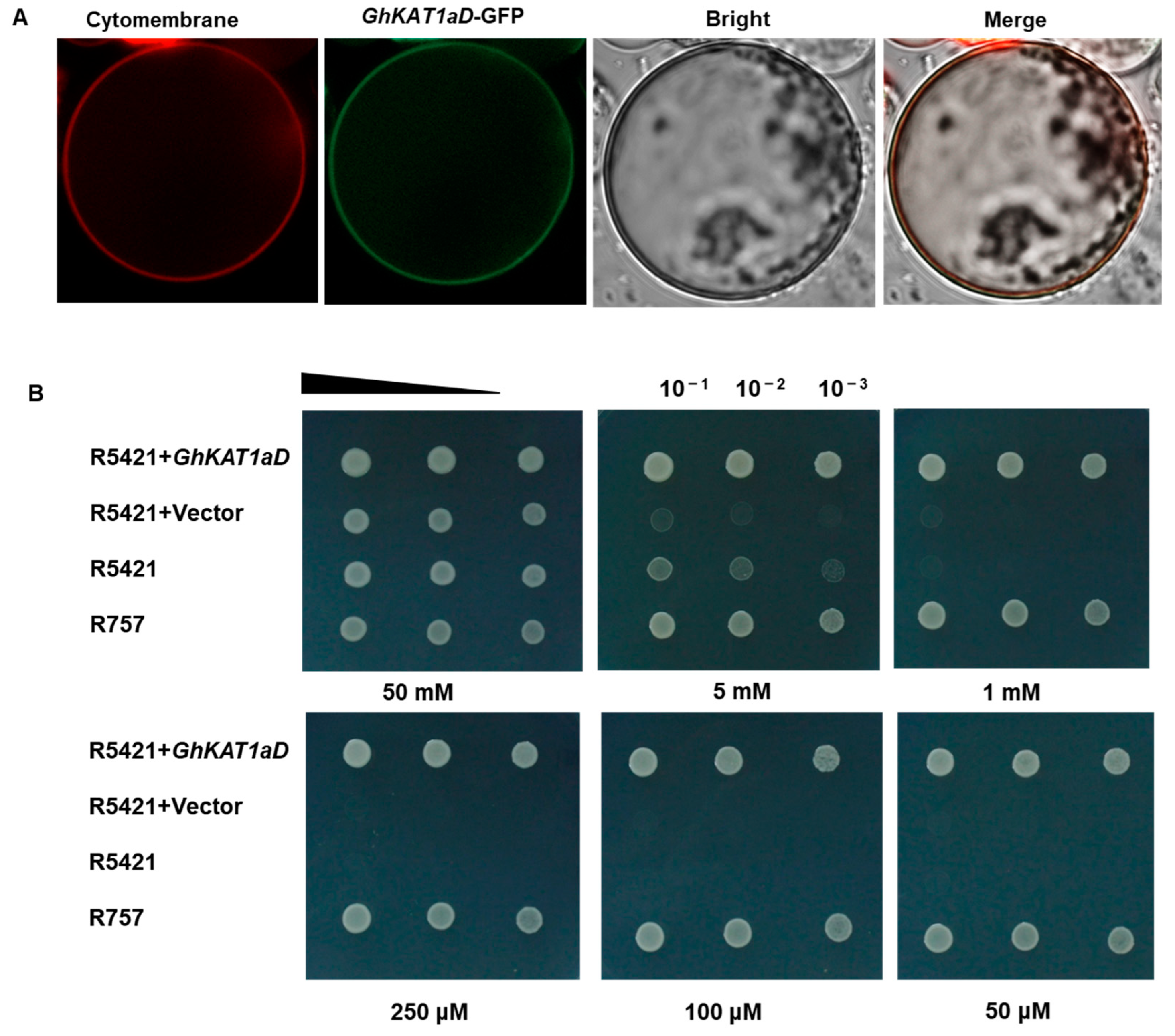 Life 13 01461 g010 Life 13 01461 g010